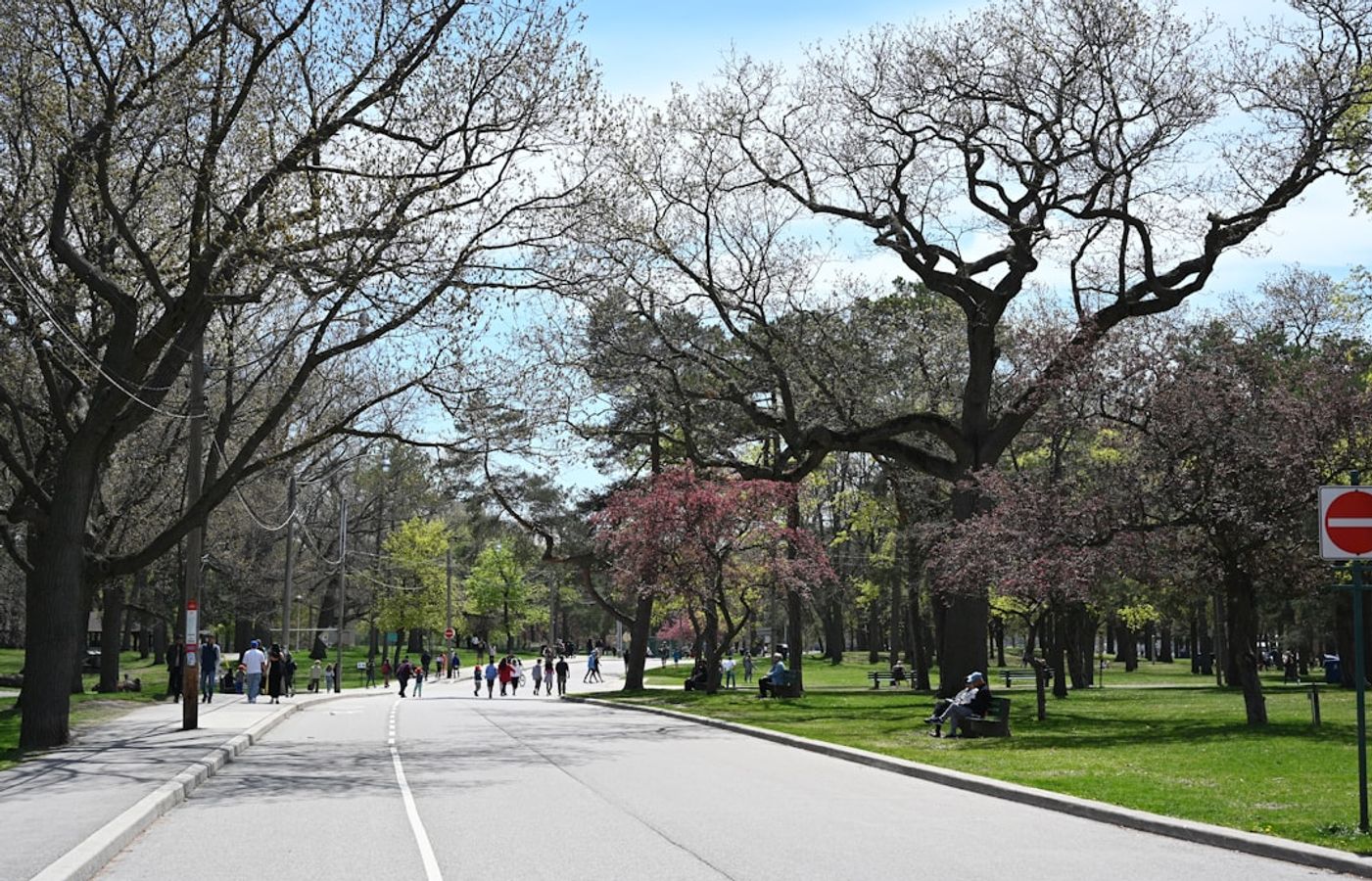 High Park - Toronto's Largest Public Park