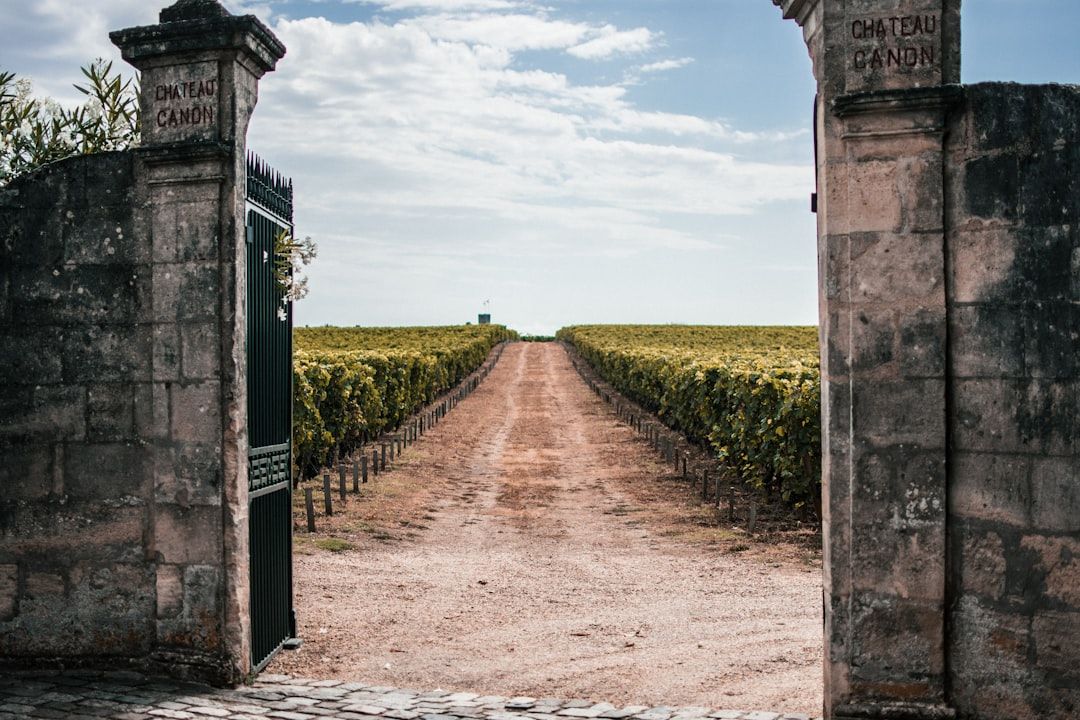 Saint-Emilion - The UNESCO Vineyard You Can Reach by Train
