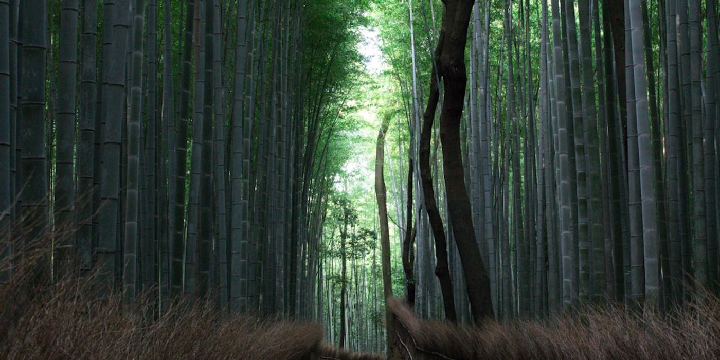 Hotels near Arashiyama Bamboo Grove