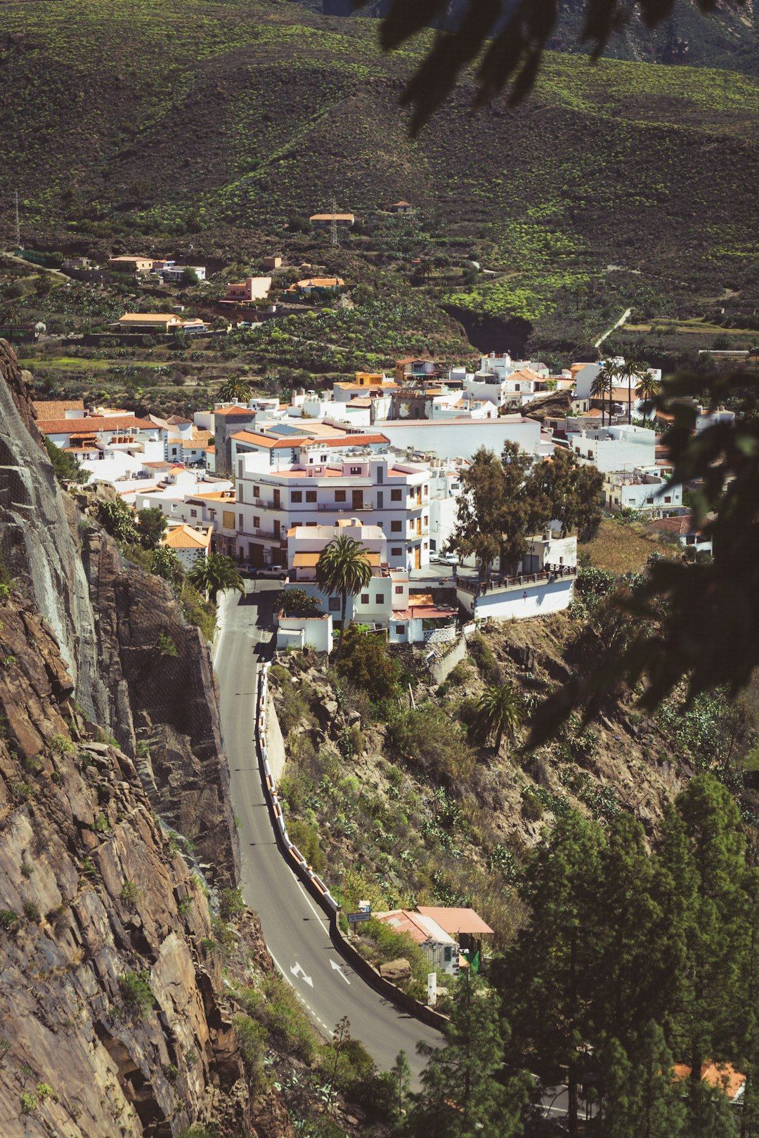 Guayadeque Ravine - A Cave-Dwelling Valley Between Aguimes and Ingenio