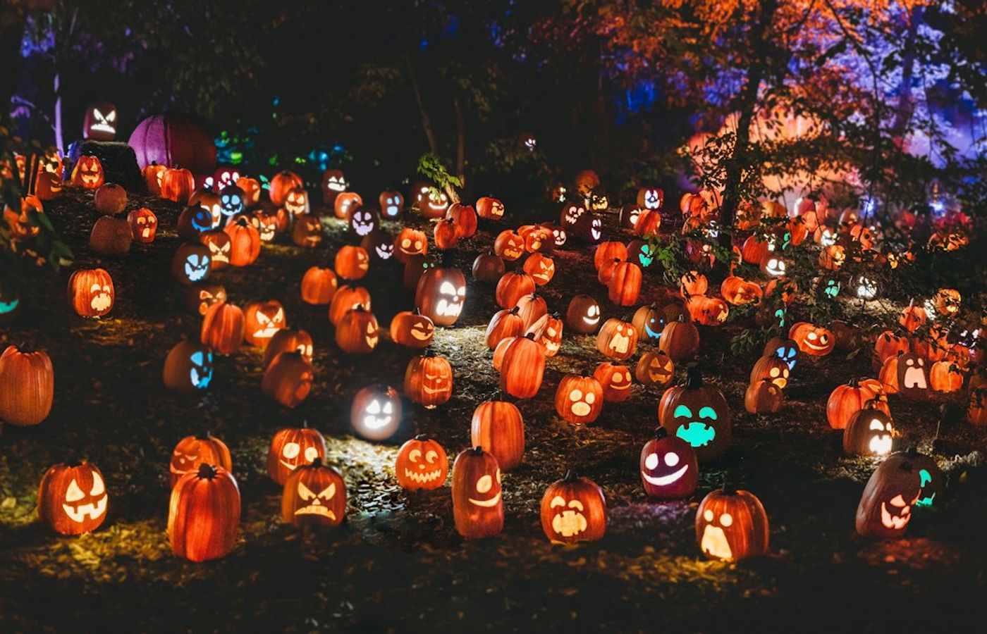 Great Jack O'Lantern Blaze - 7,000 Pumpkins in the Hudson Valley