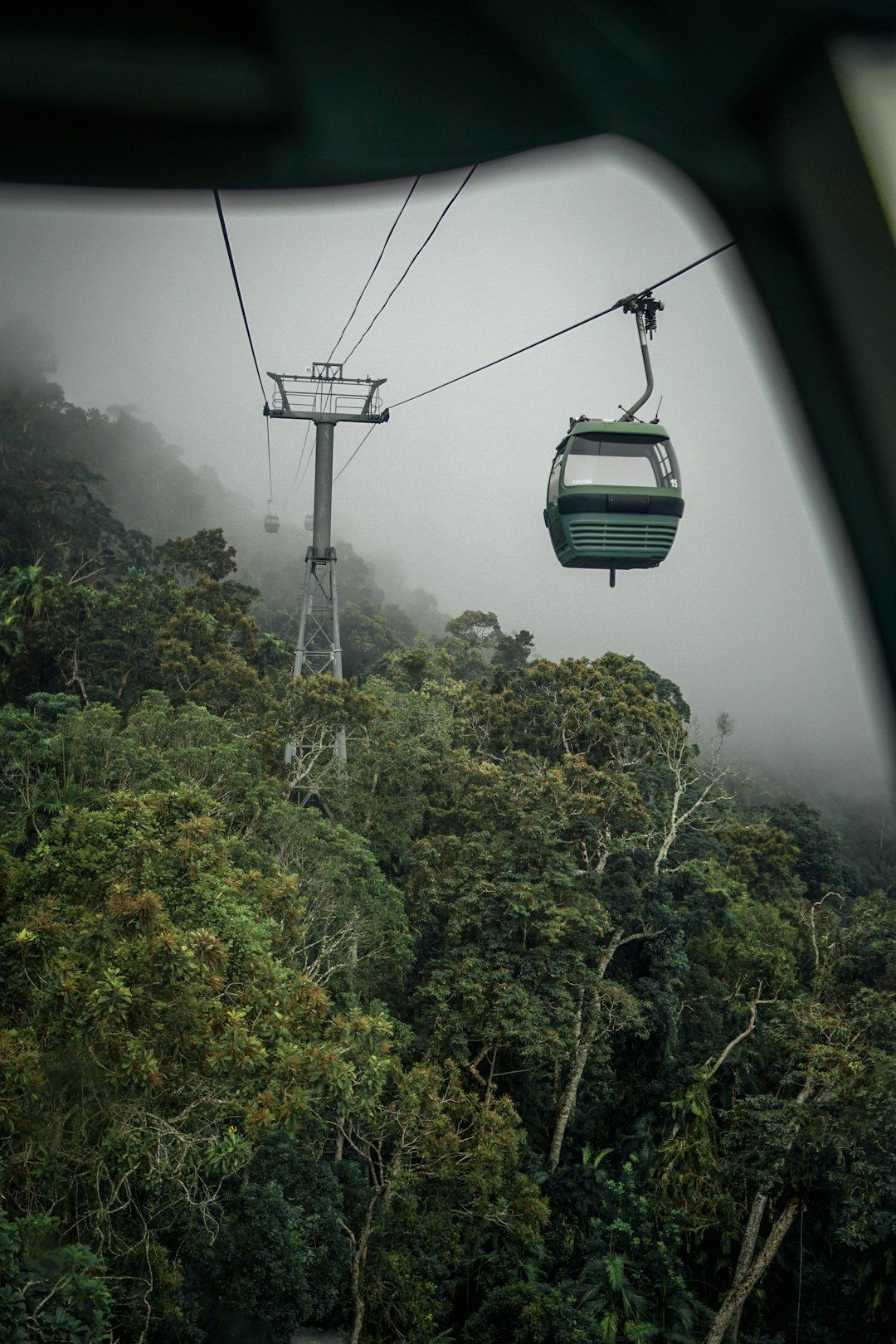 Skyrail Rainforest Cableway - The World's Longest Gondola
