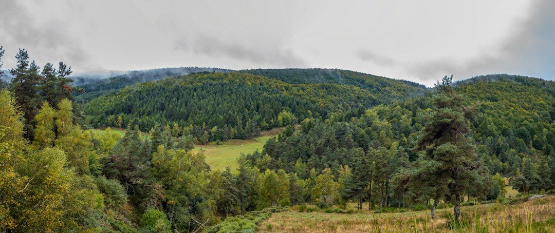 Hermitage of Braid and Blackford Hill - Woodland and a Free Panorama