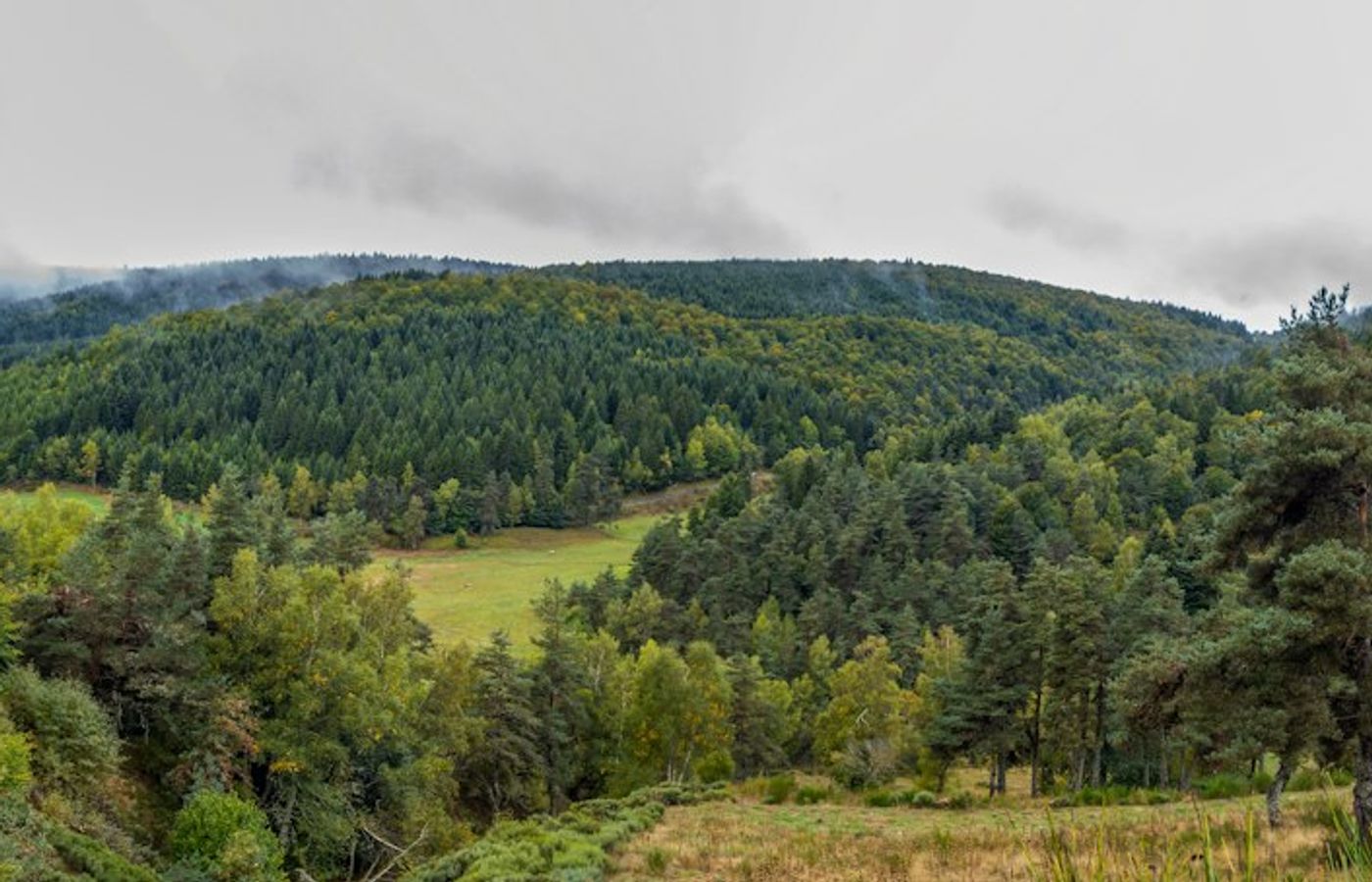 Hermitage of Braid and Blackford Hill - Woodland and a Free Panorama