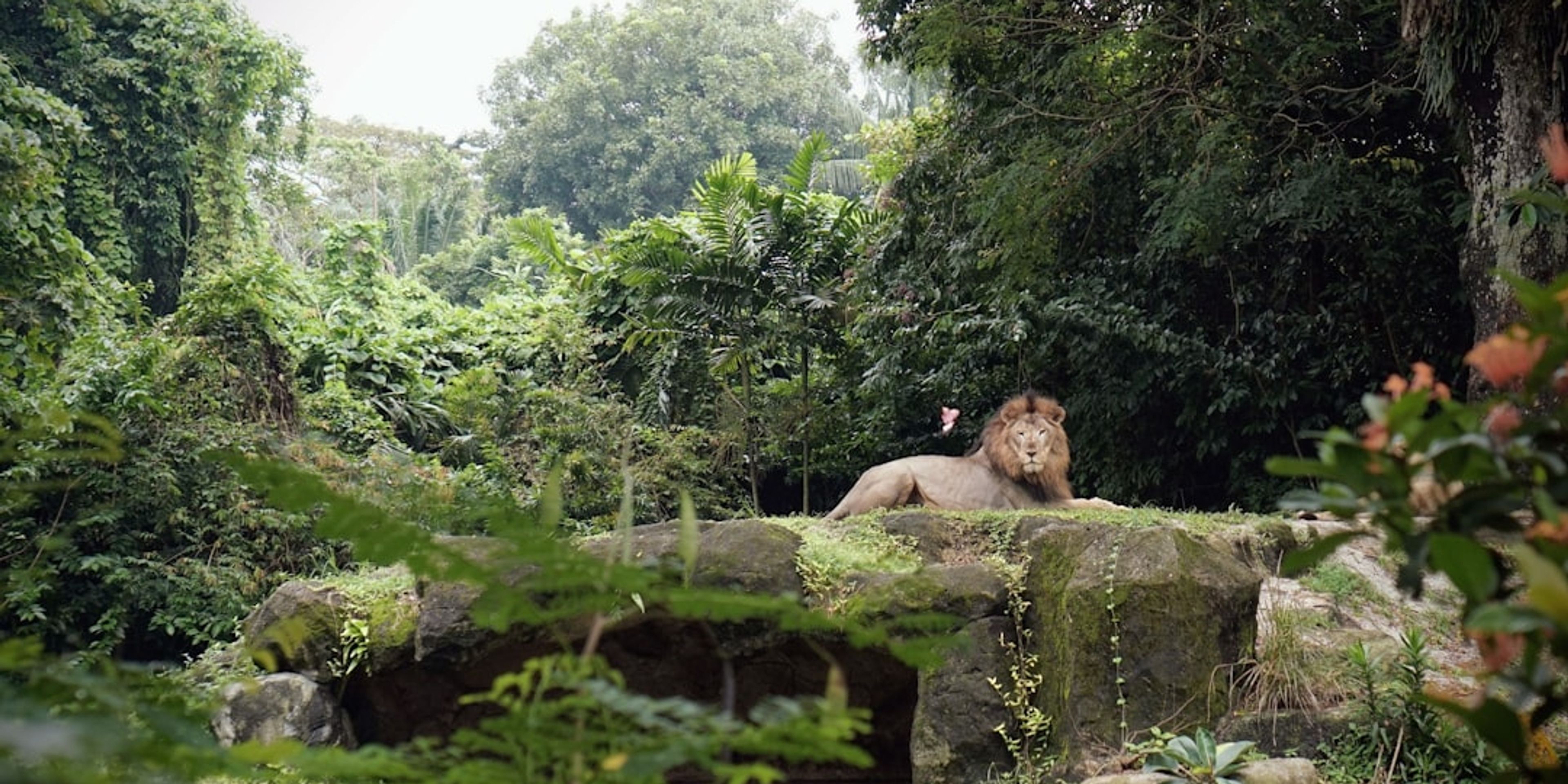 Hotels near Singapore Zoo