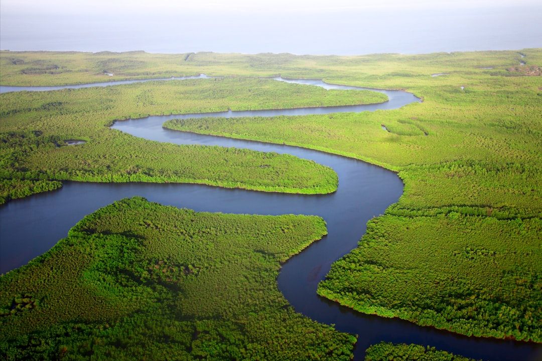 Everglades National Park - The River of Grass on a Day Trip