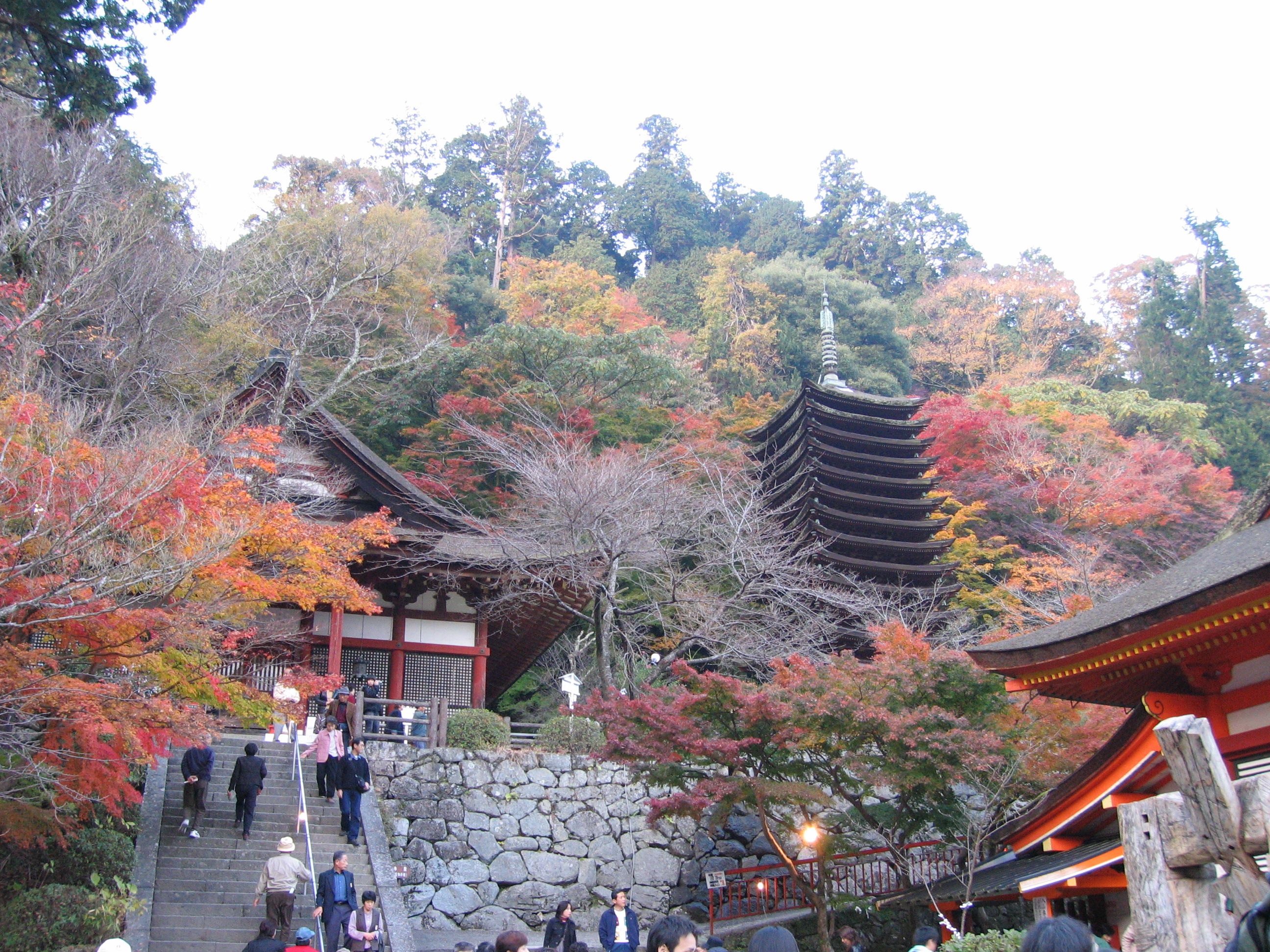 Tanzan Shrine - Nara Prefecture's Best Pure Maple Site, on an Hourly Bus