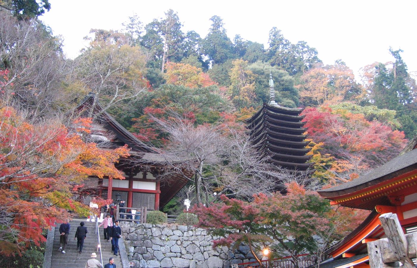 Tanzan Shrine - Nara Prefecture's Best Pure Maple Site, on an Hourly Bus