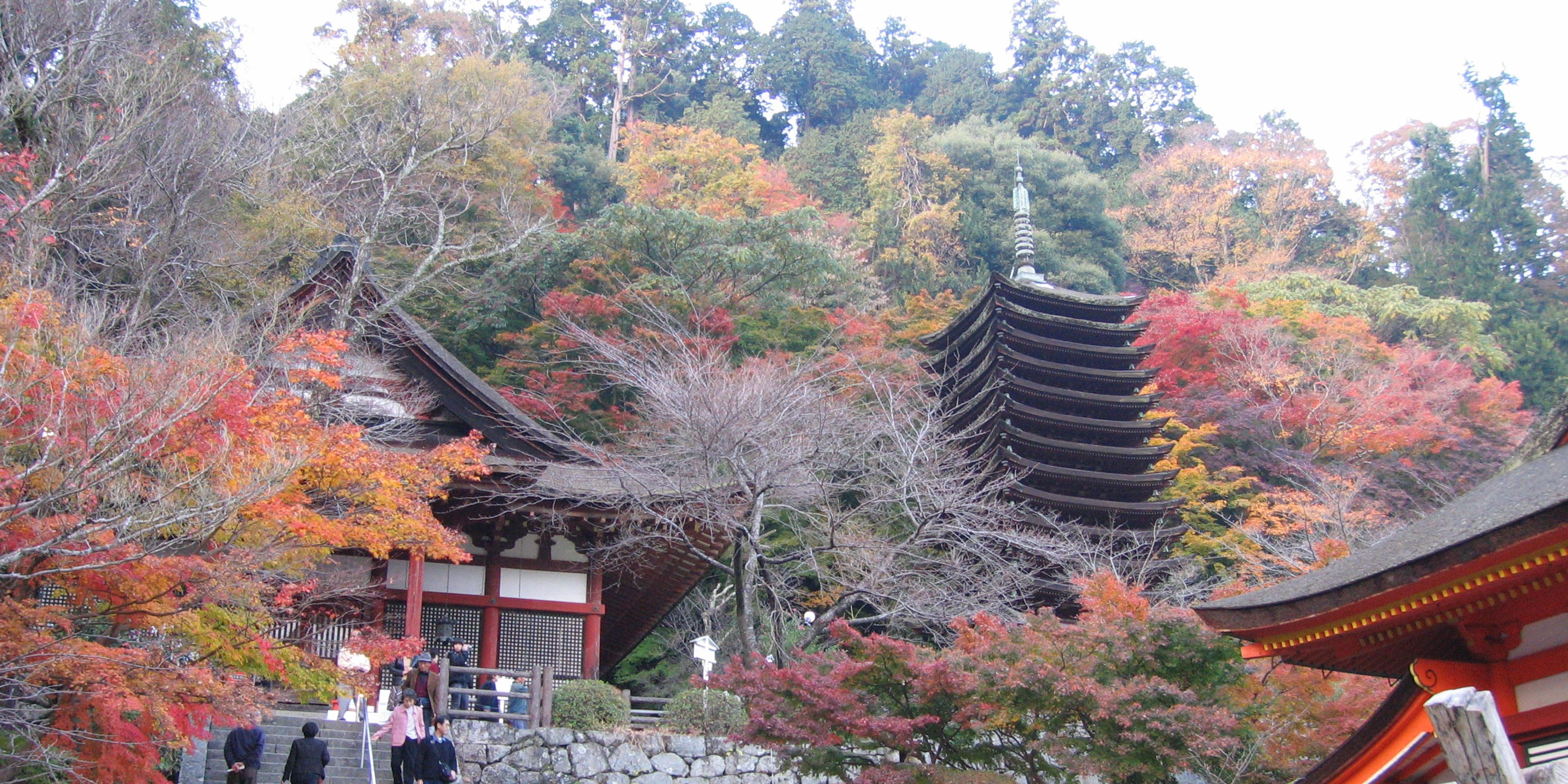 Hotels near Tanzan Shrine