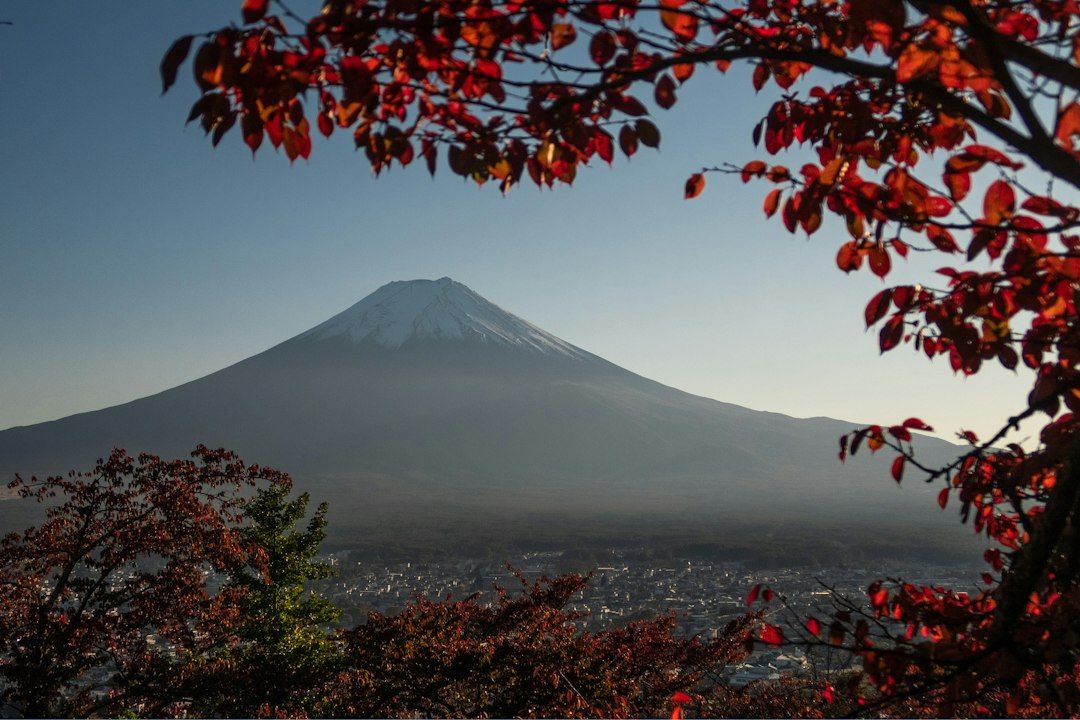 Tokyo in October: Weather, Festivals and Autumn Leaf Day Trips