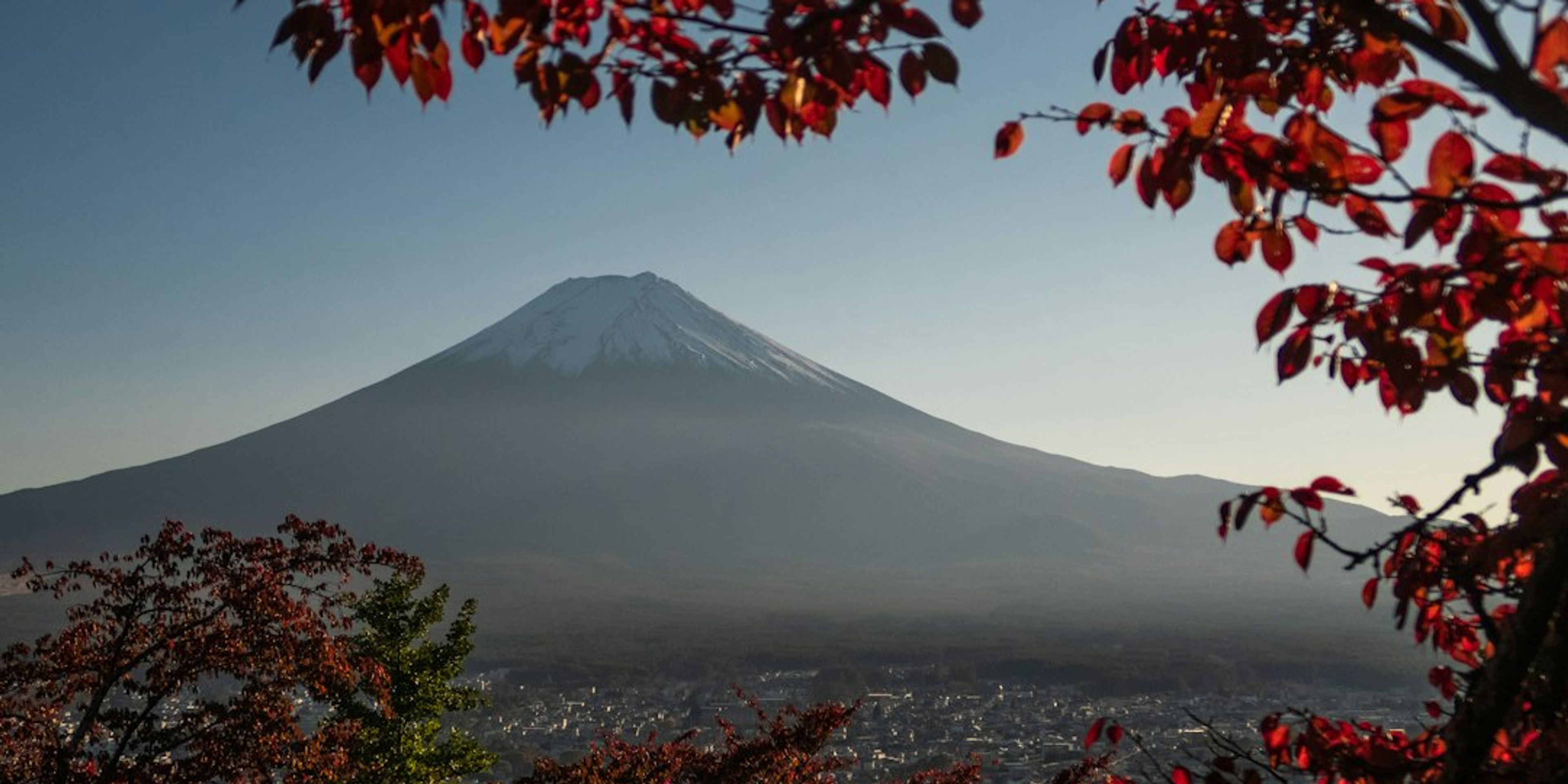 Tokyo in October: Weather, Festivals and Autumn Leaf Day Trips