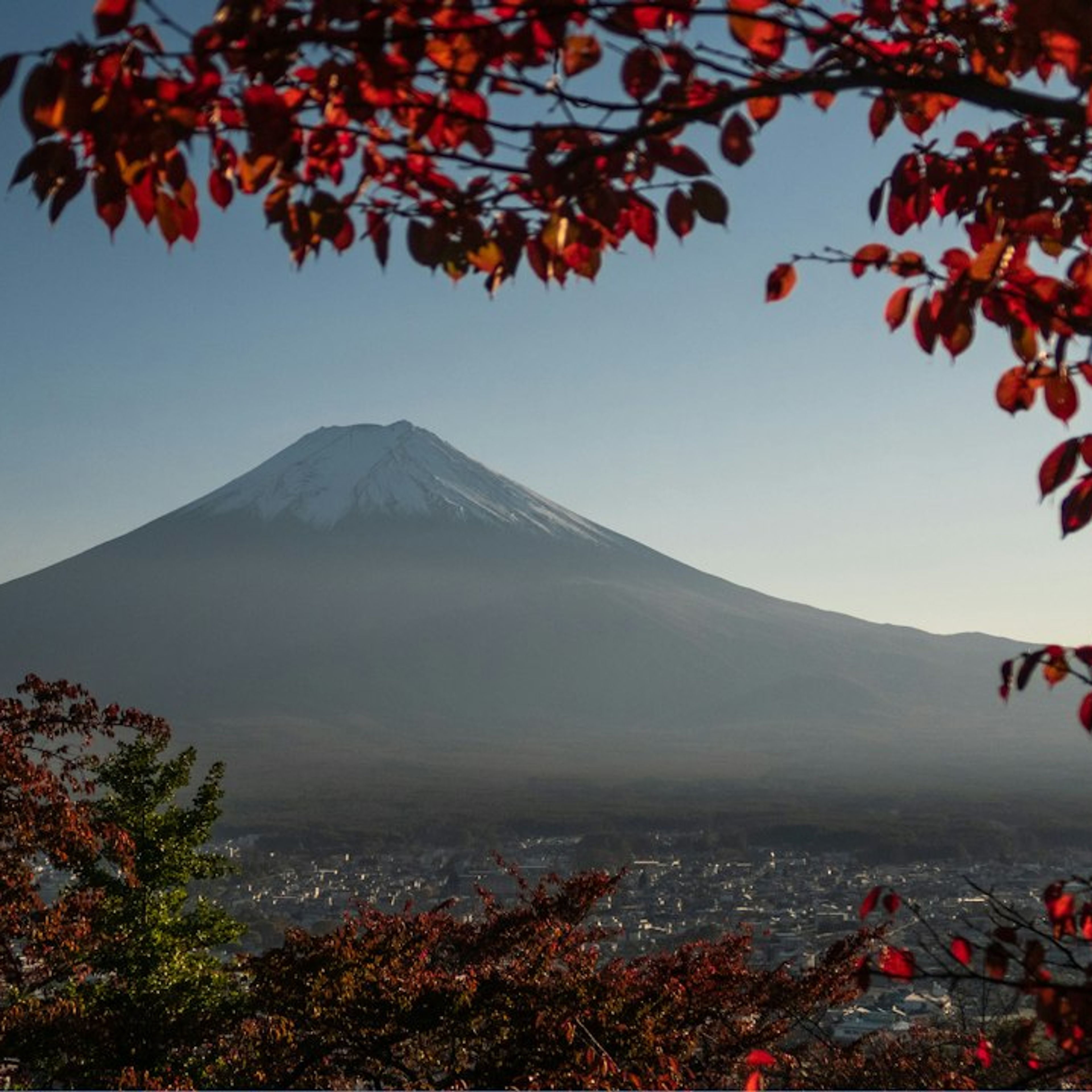 Tokyo in October: Weather, Festivals and Autumn Leaf Day Trips