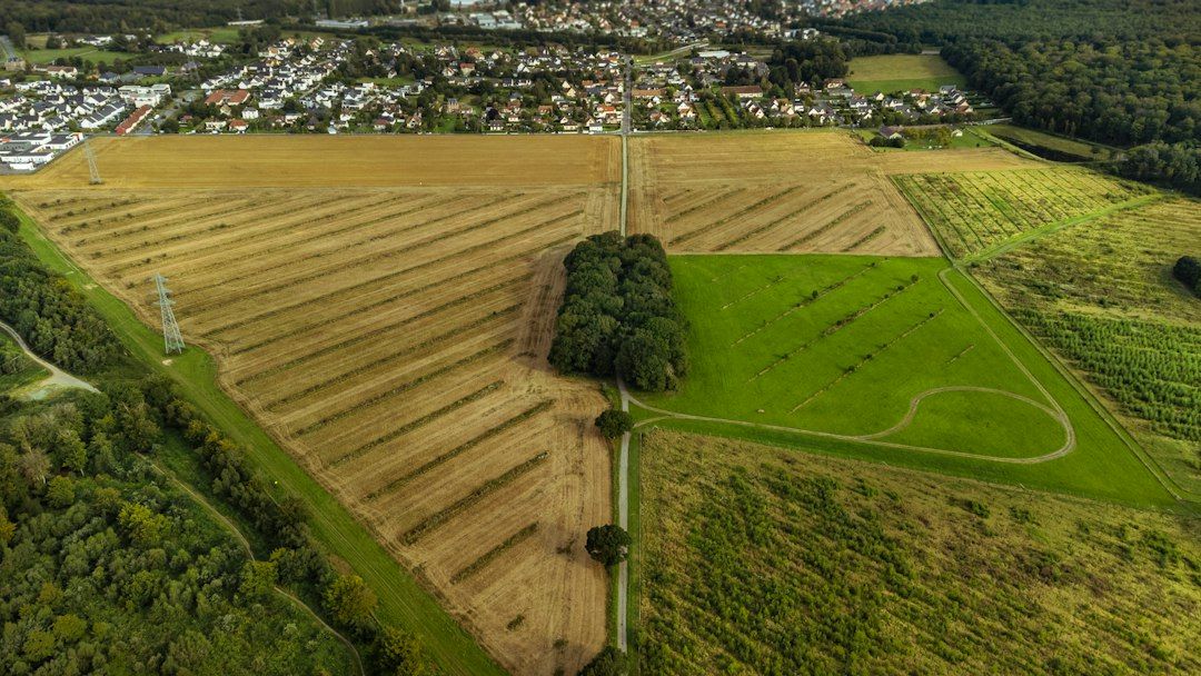 The Tiergarten - 210 Hectares Turning at Once