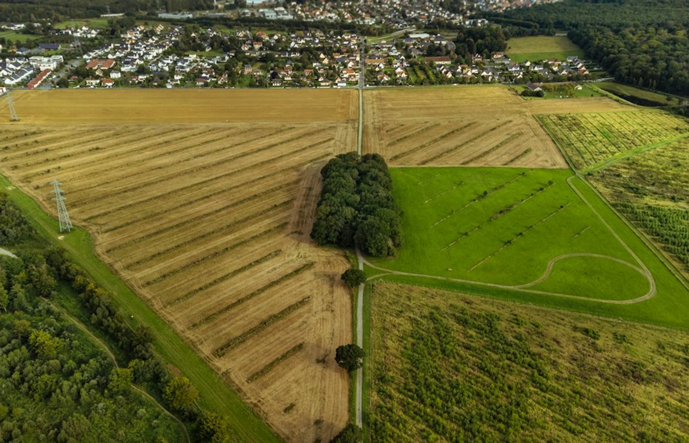 The Tiergarten - 210 Hectares Turning at Once