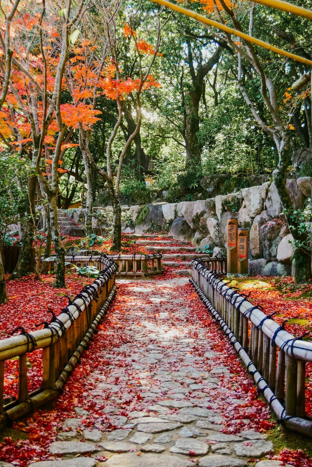 5 Best Places to See Autumn Leaves in Nara