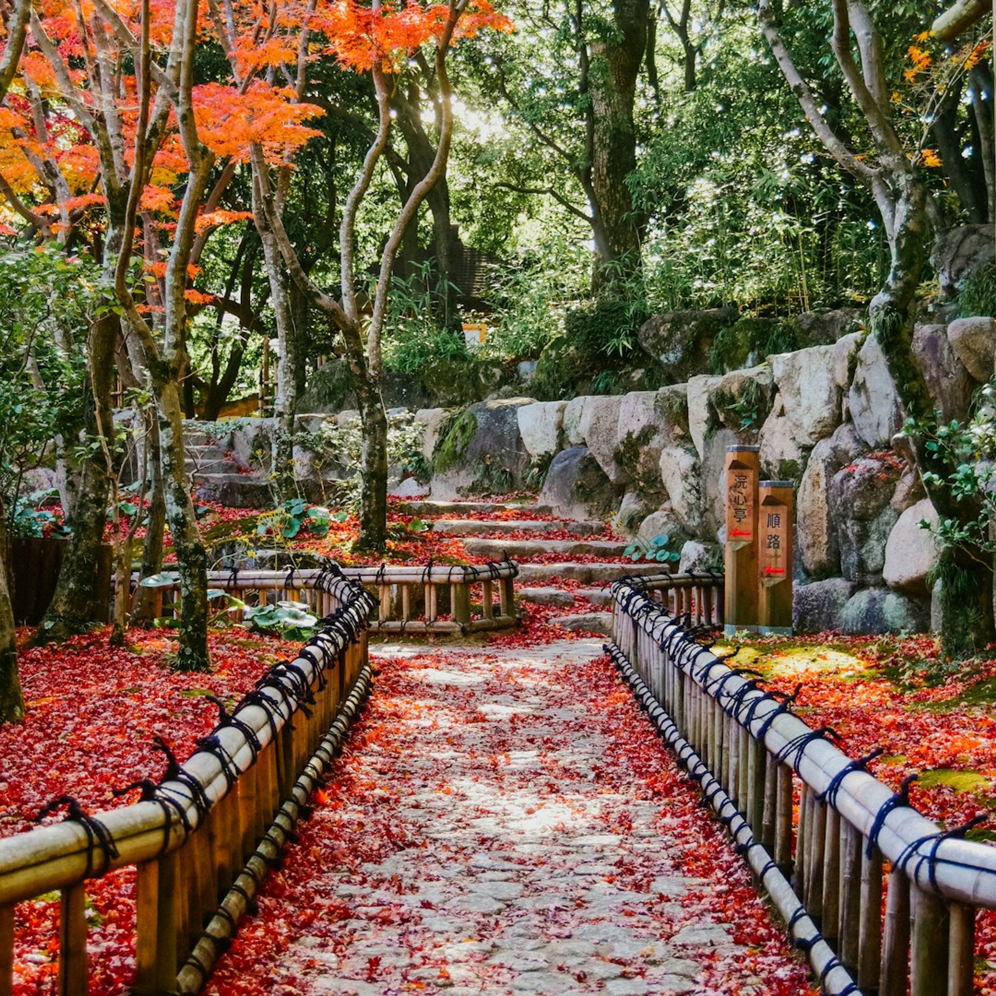 5 Best Places to See Autumn Leaves in Nara