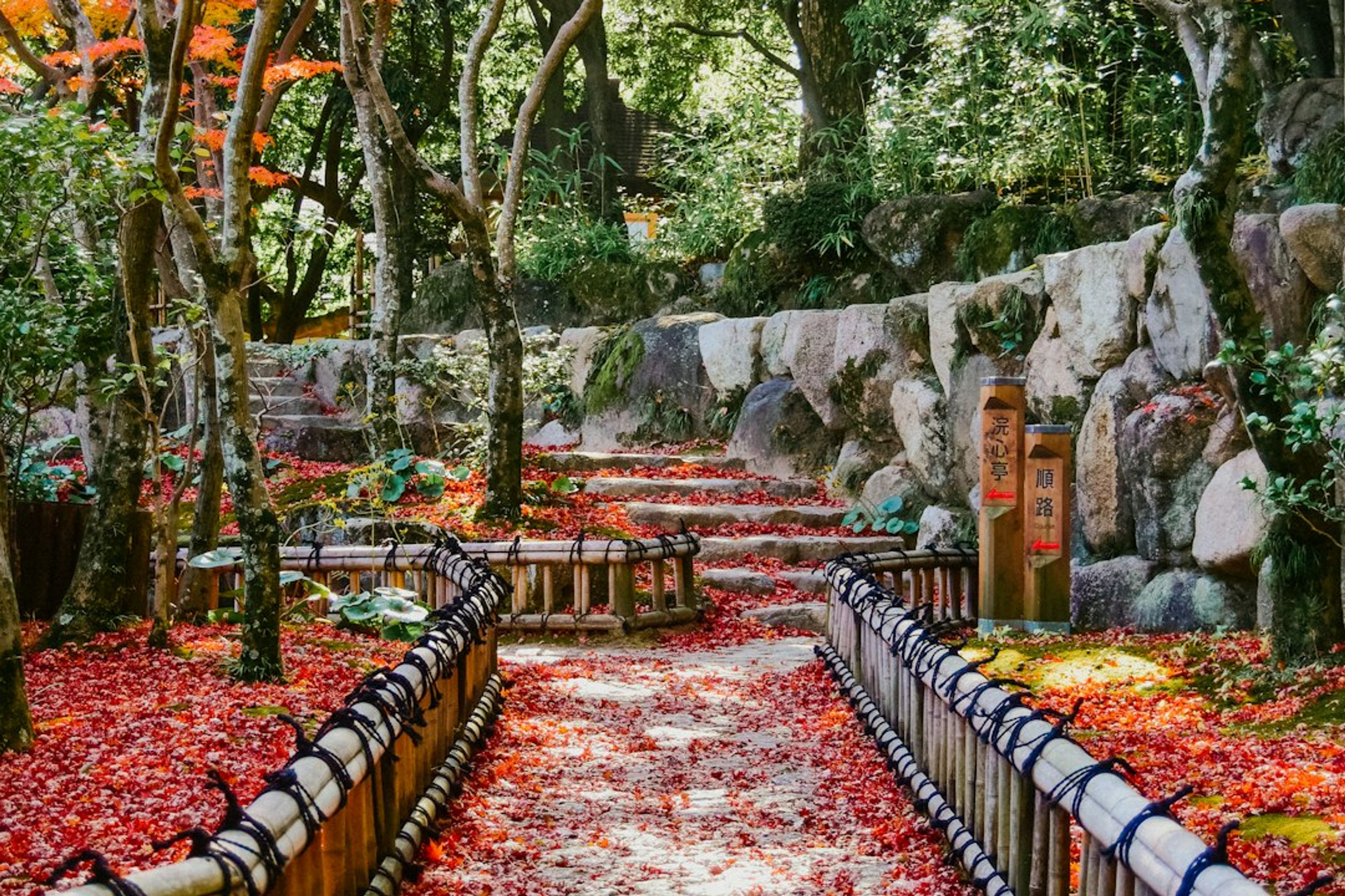 5 Best Places to See Autumn Leaves in Nara