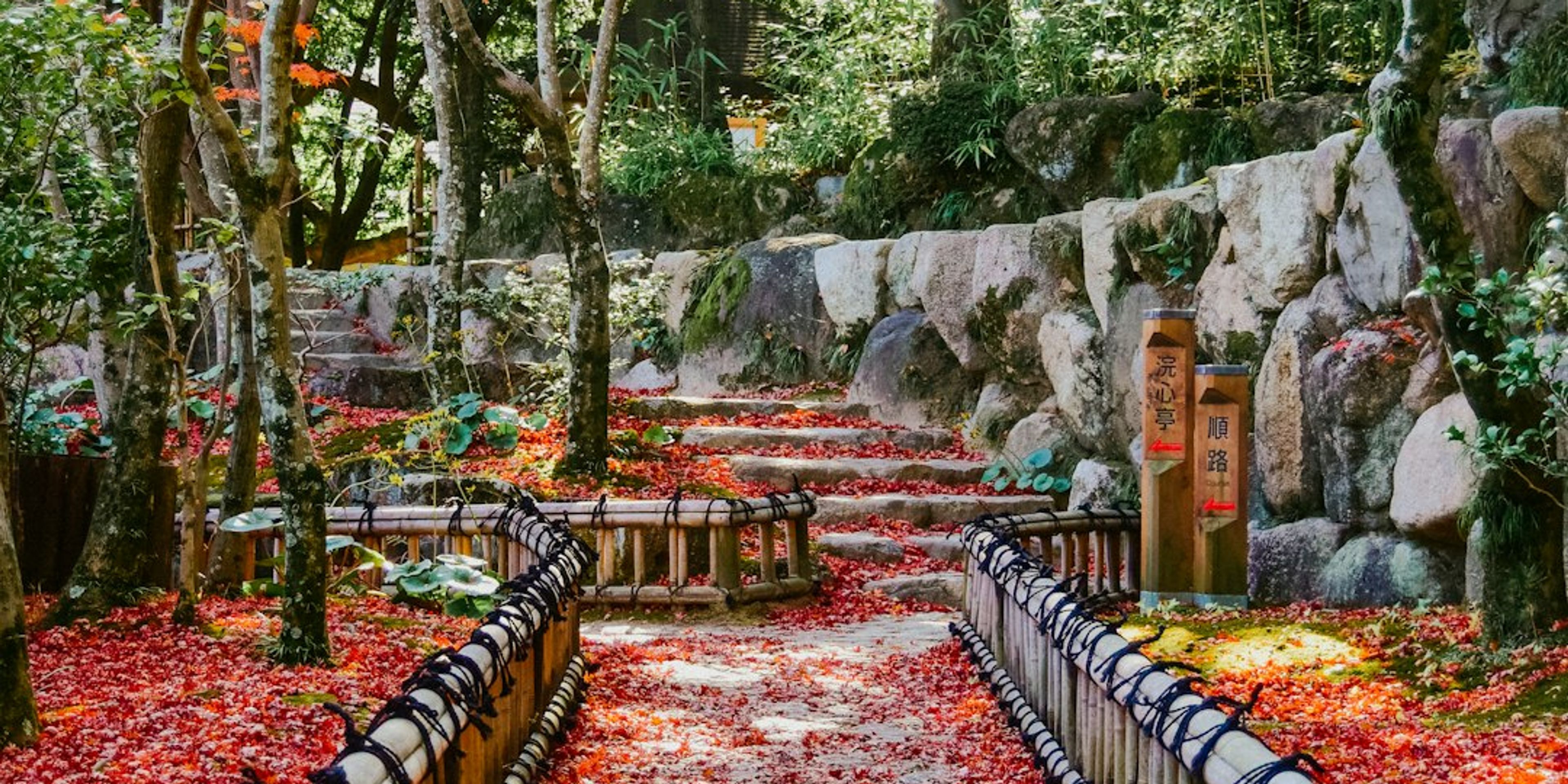 5 Best Places to See Autumn Leaves in Nara