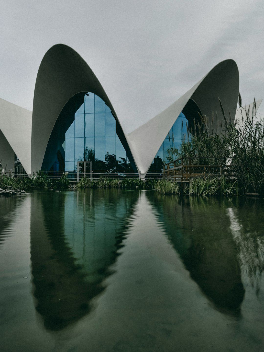 L'Oceanogràfic - Europe's Largest Aquarium