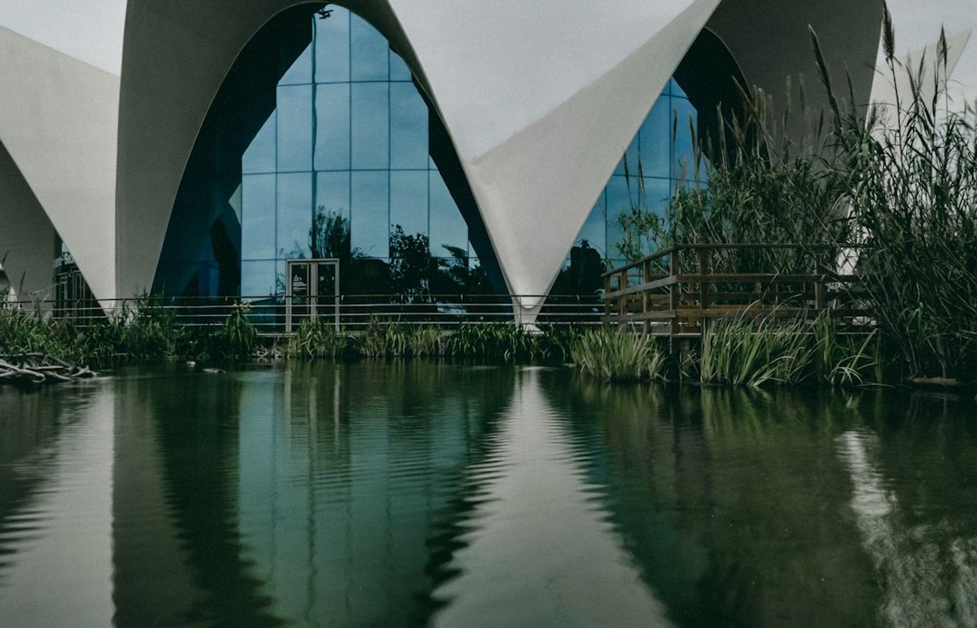 L'Oceanogràfic - Europe's Largest Aquarium