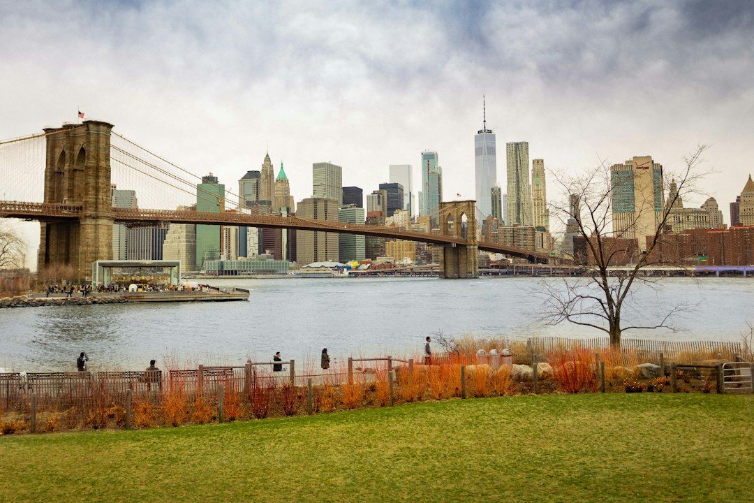 Brooklyn Bridge Park - The Skyline Turns With the Trees