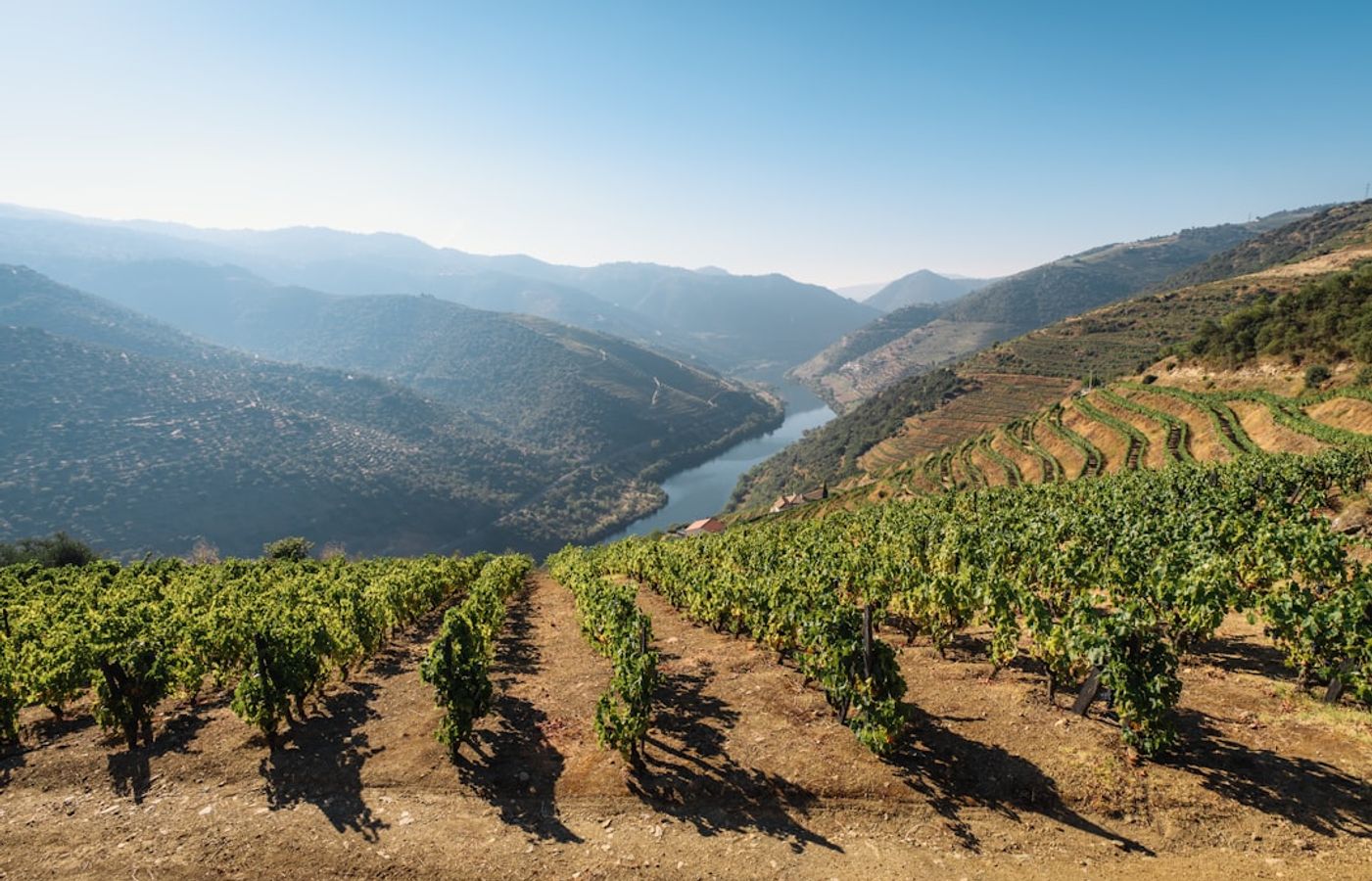 Douro Valley Day Trip - Europe's First Demarcated Wine Region