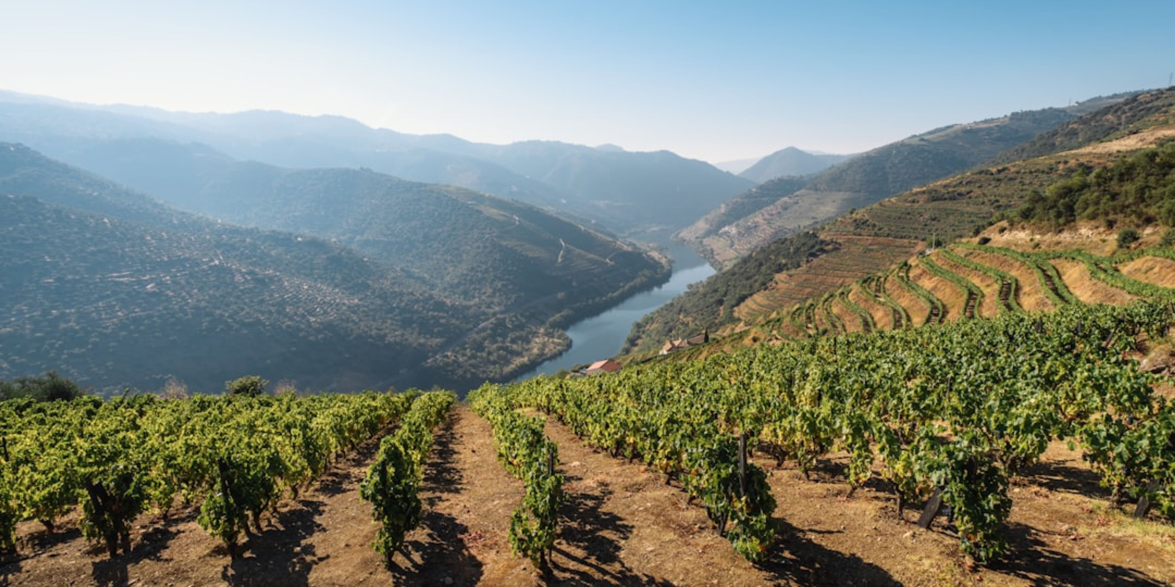 Hotels near Douro Valley Day Trip
