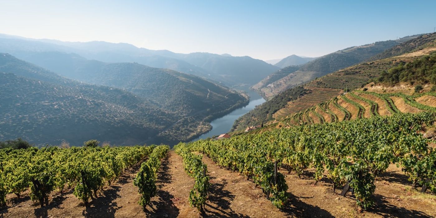 Hotels near Douro Valley Day Trip