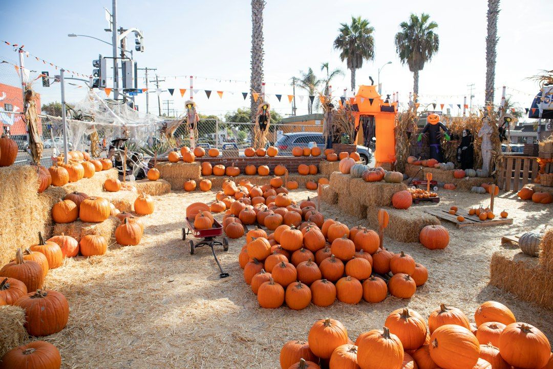 5 Best Things to Do in Los Angeles During Halloween