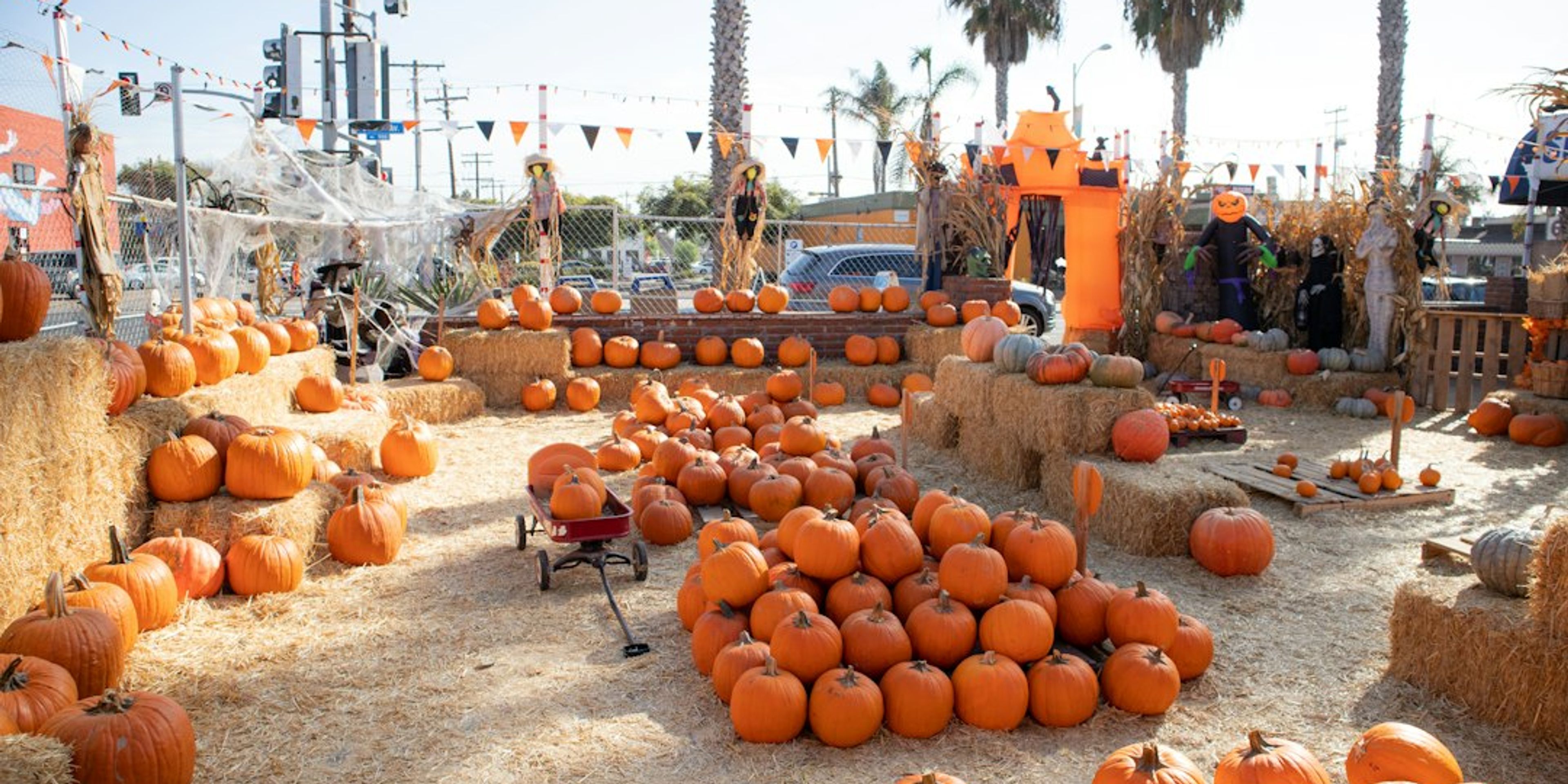 5 Best Things to Do in Los Angeles During Halloween