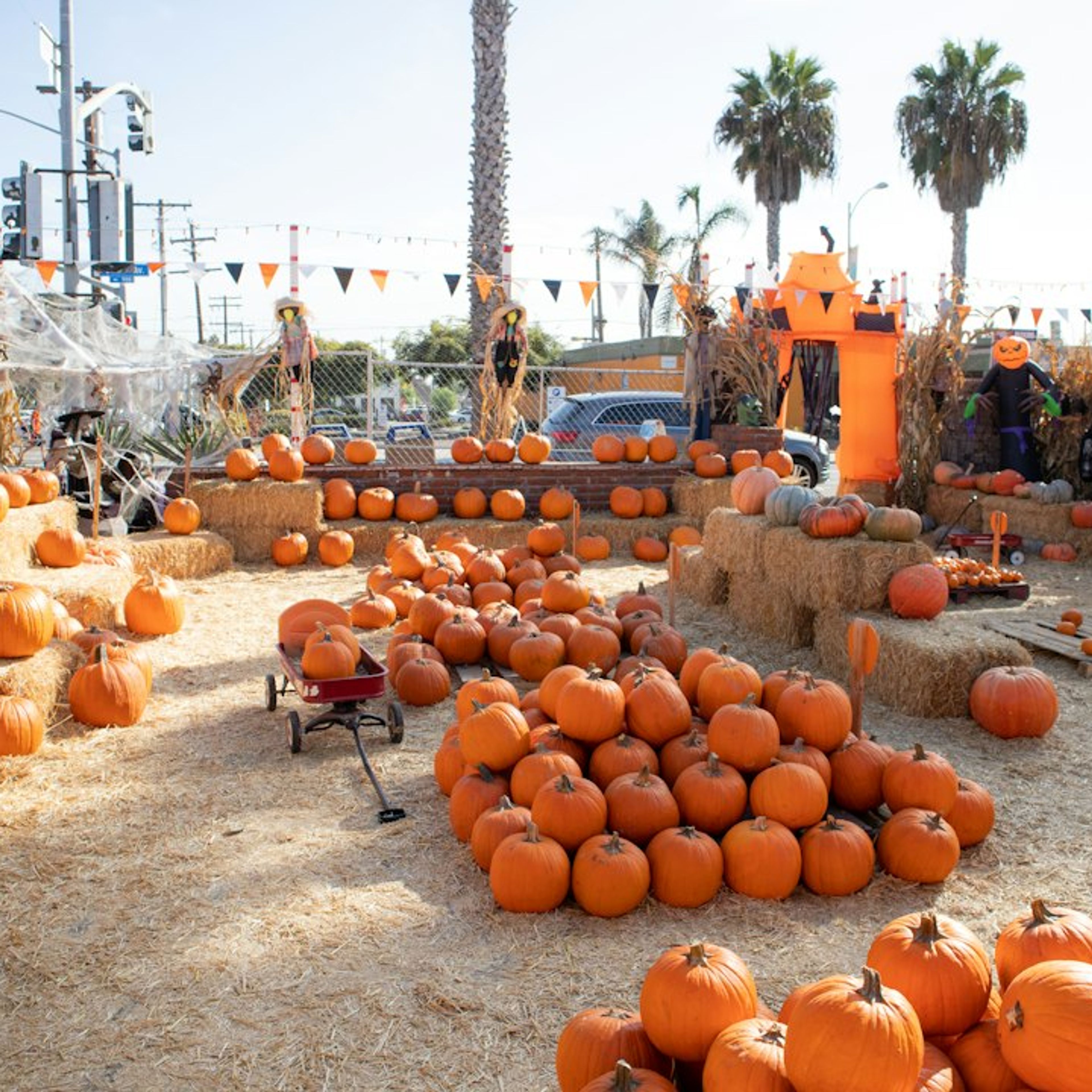 5 Best Things to Do in Los Angeles During Halloween