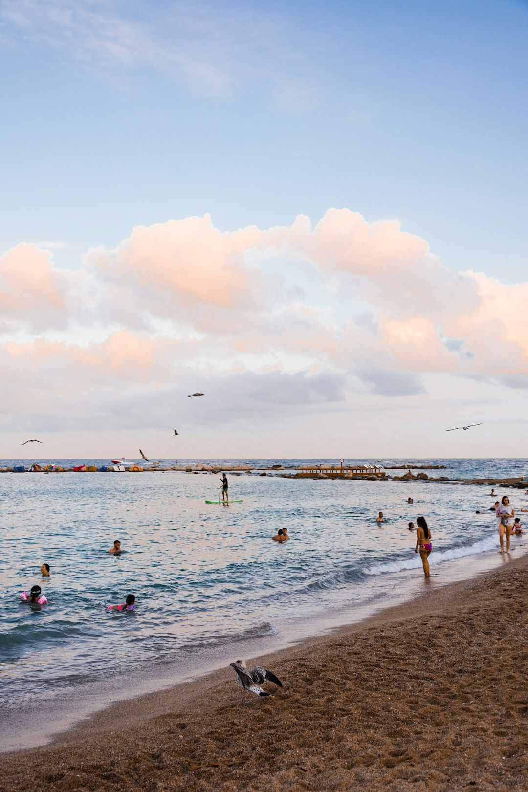 Barceloneta Beach - The Last Swims of the Year
