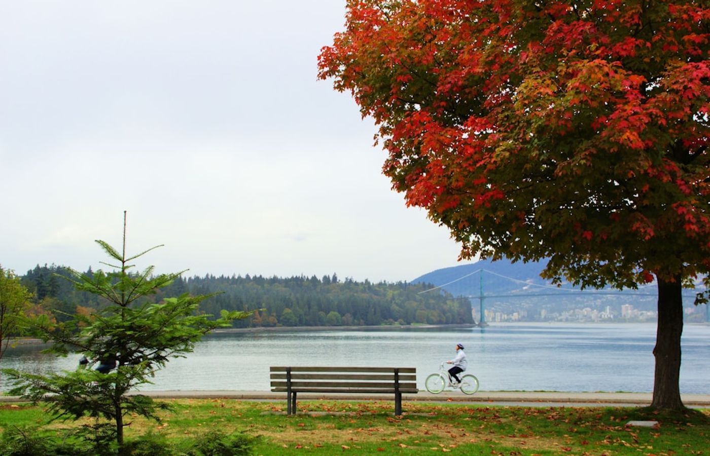 West End and Robson - Walkable Base Near Stanley Park