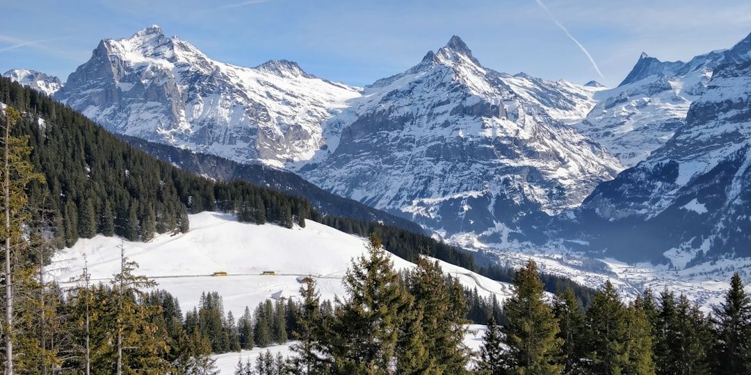 Grindelwald-First - The Sun-Facing Shelf Above Grindelwald
