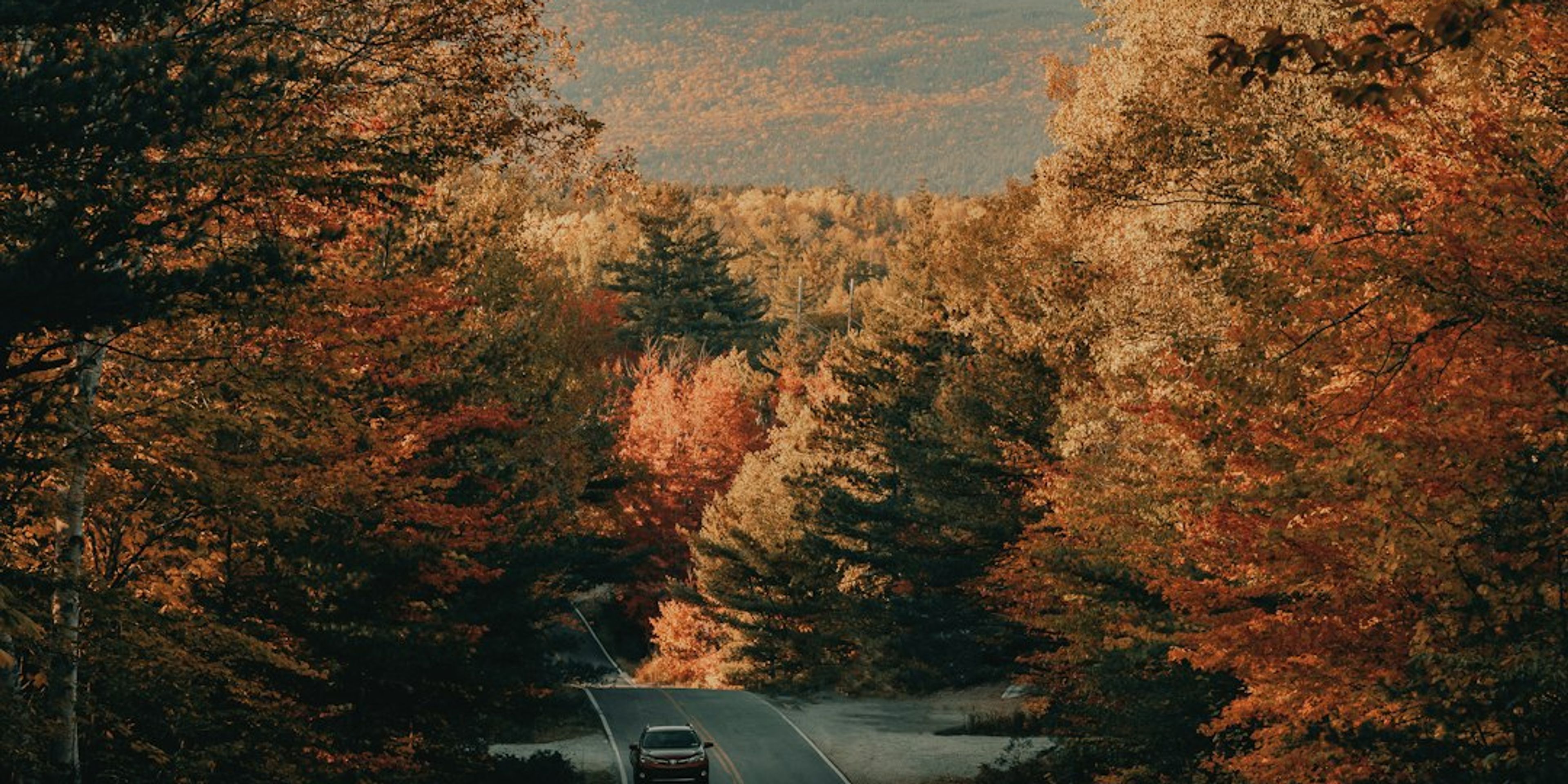 Hotels near US Route 1 and Camden Hills, Midcoast Maine