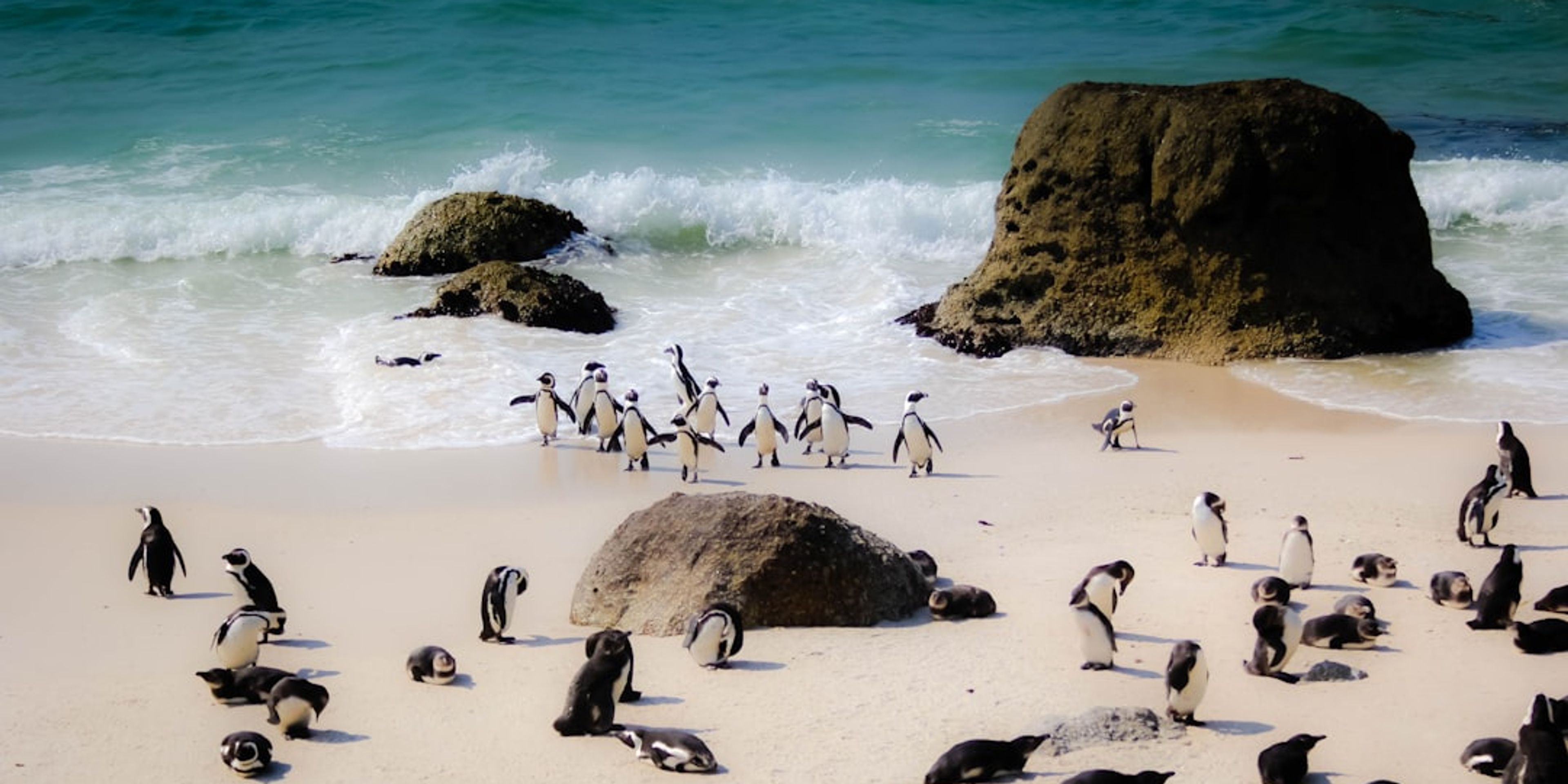 Hotels near Boulders Beach
