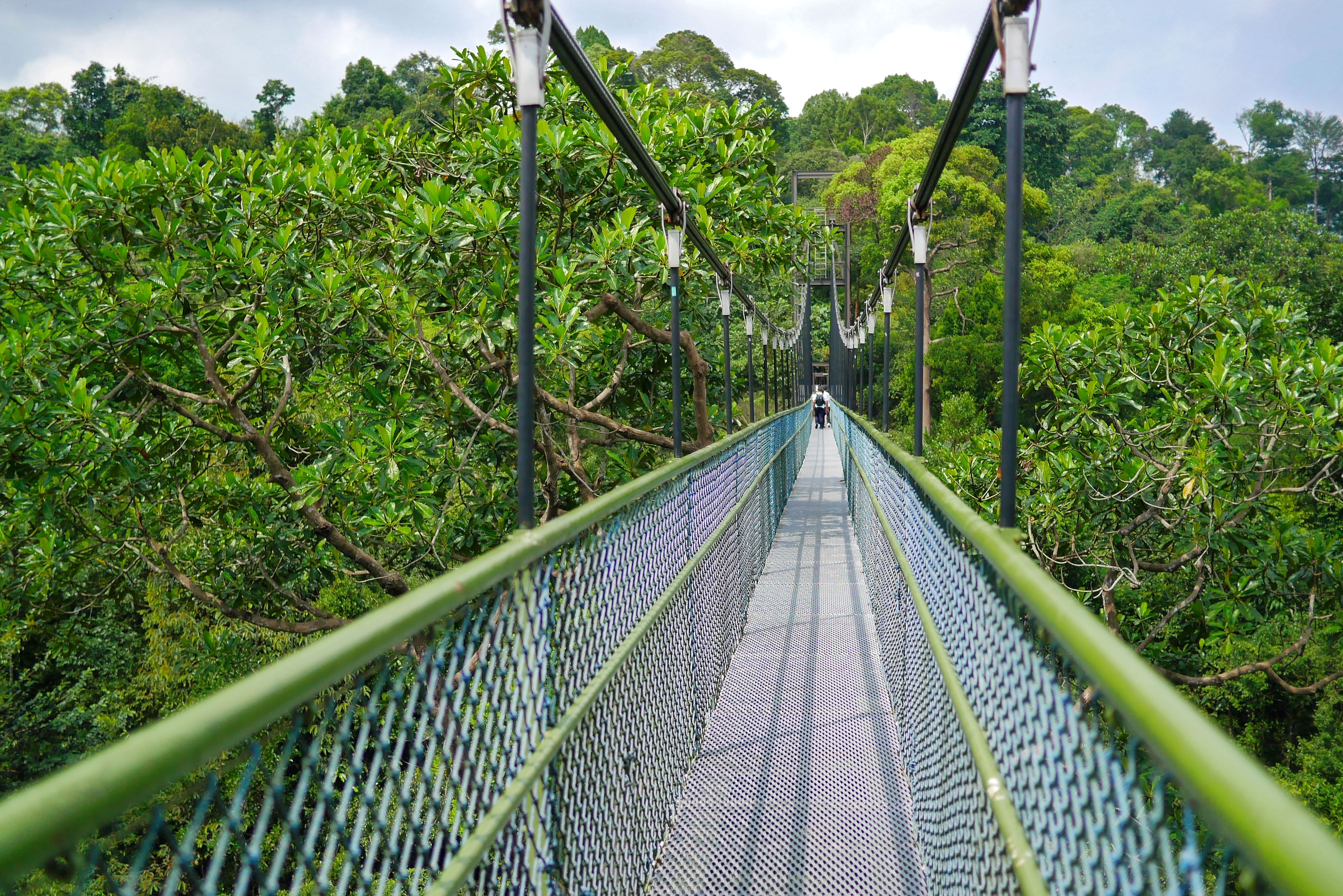 HSBC TreeTop Walk - The Furthest You Can Get From a Side Event, If You Start at 08:00