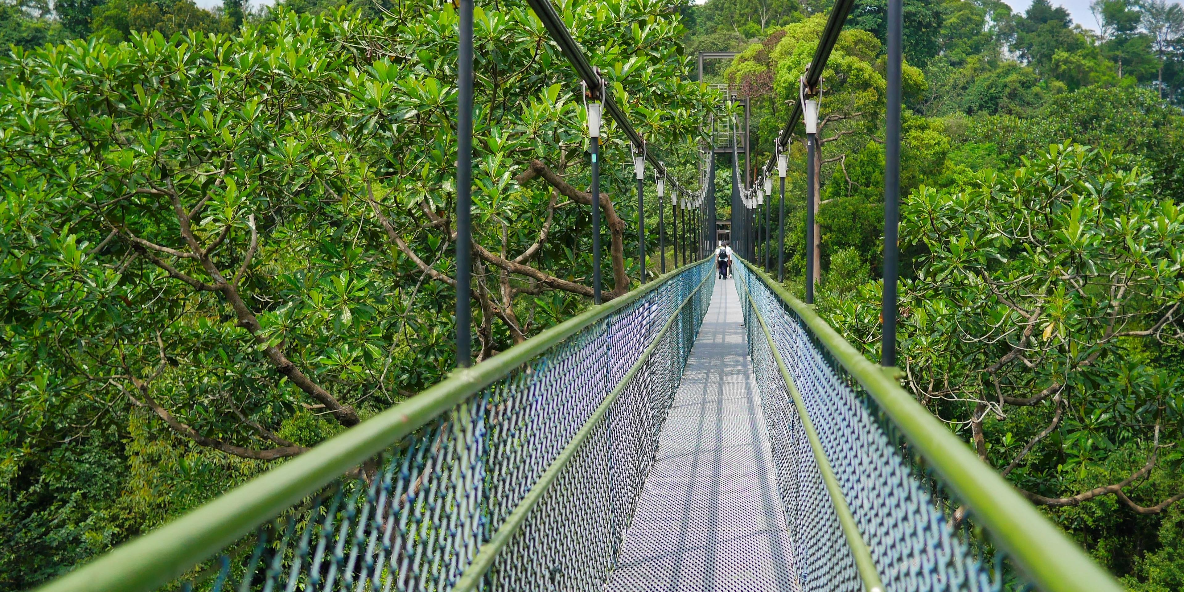 Hotels near HSBC TreeTop Walk
