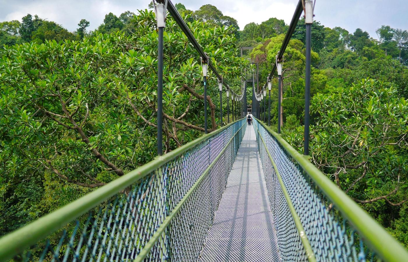 HSBC TreeTop Walk - The Furthest You Can Get From a Side Event, If You Start at 08:00