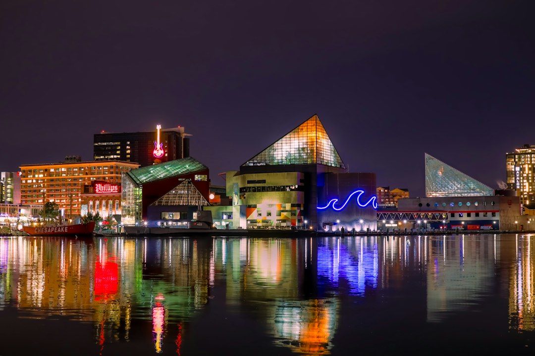 Christmas Village in Baltimore - A German Market at the Inner Harbor