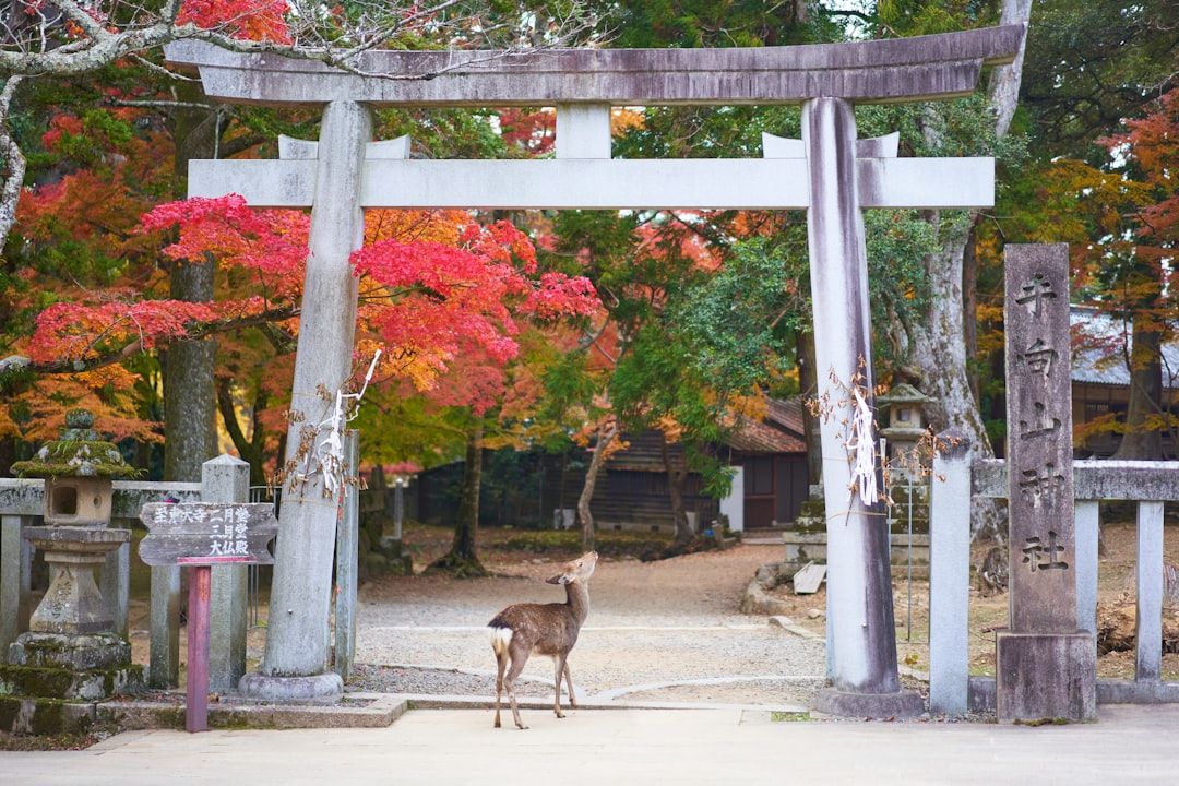Horyu-ji - The Oldest Wooden Buildings on Earth