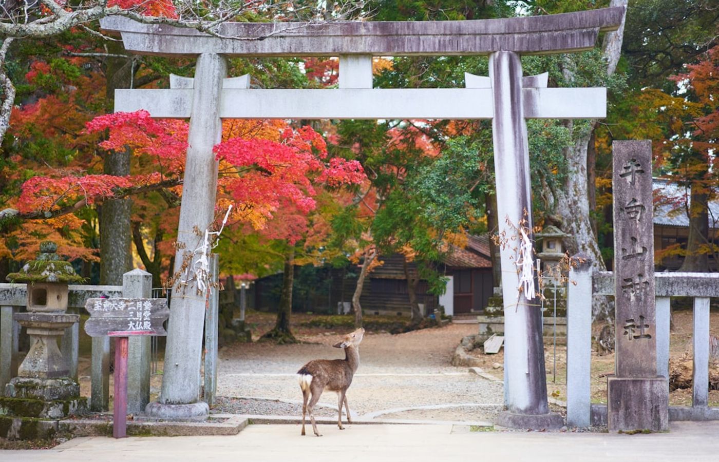 Horyu-ji - The Oldest Wooden Buildings on Earth