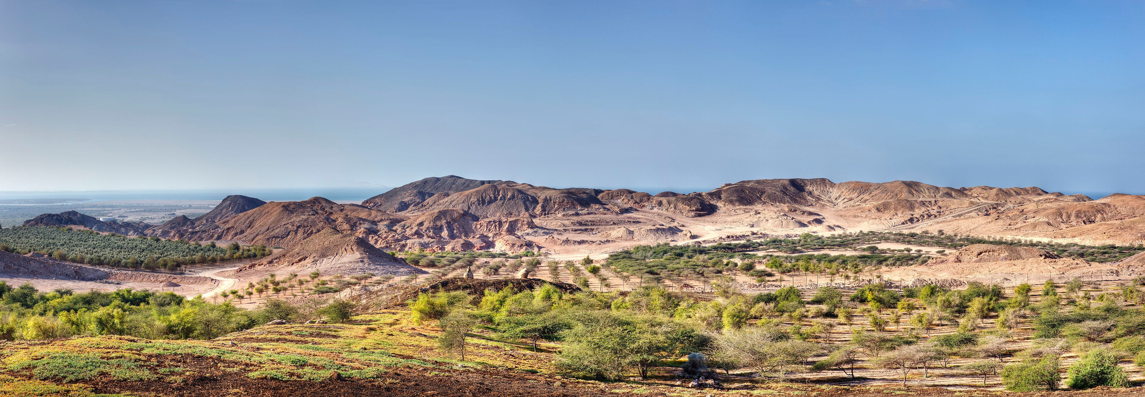 Sir Bani Yas Island - The Wildlife Day Trip