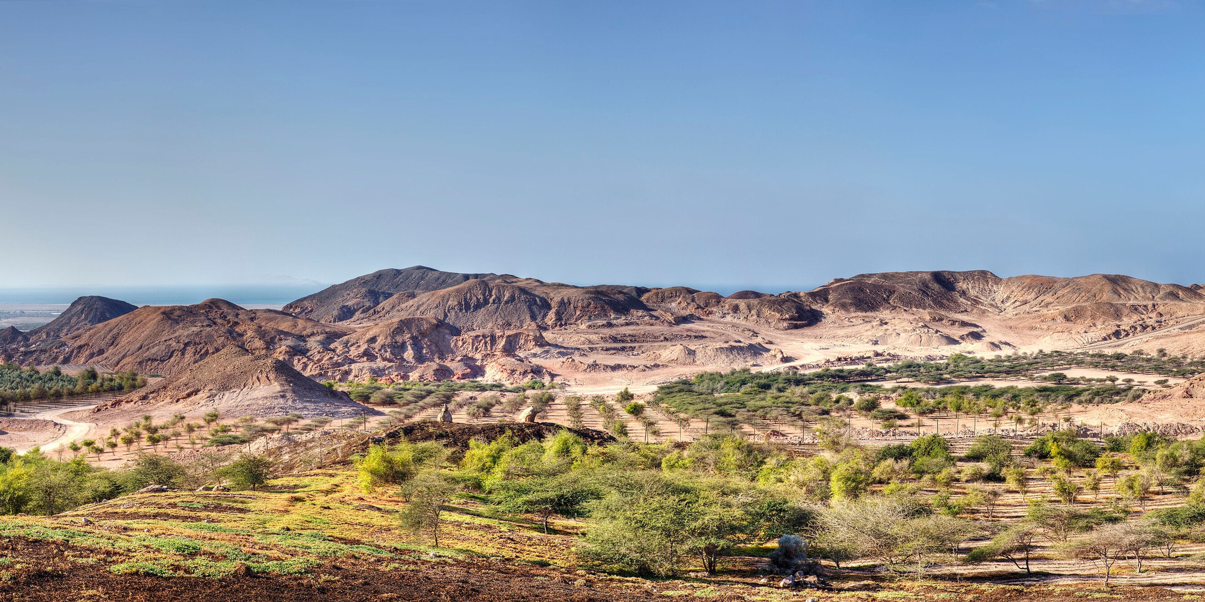 Hotels near Sir Bani Yas Island