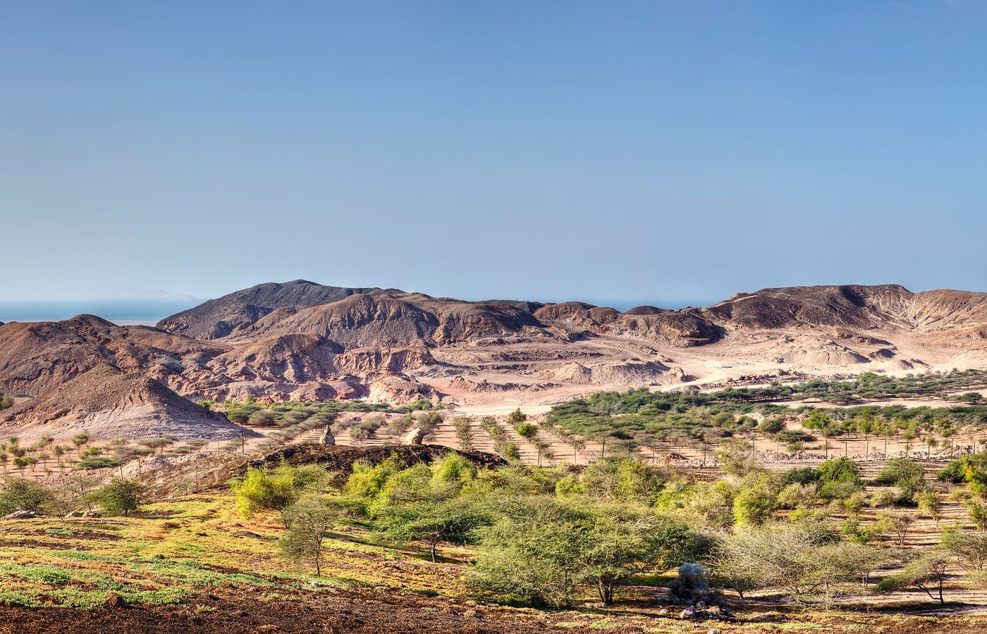 Sir Bani Yas Island - The Wildlife Day Trip