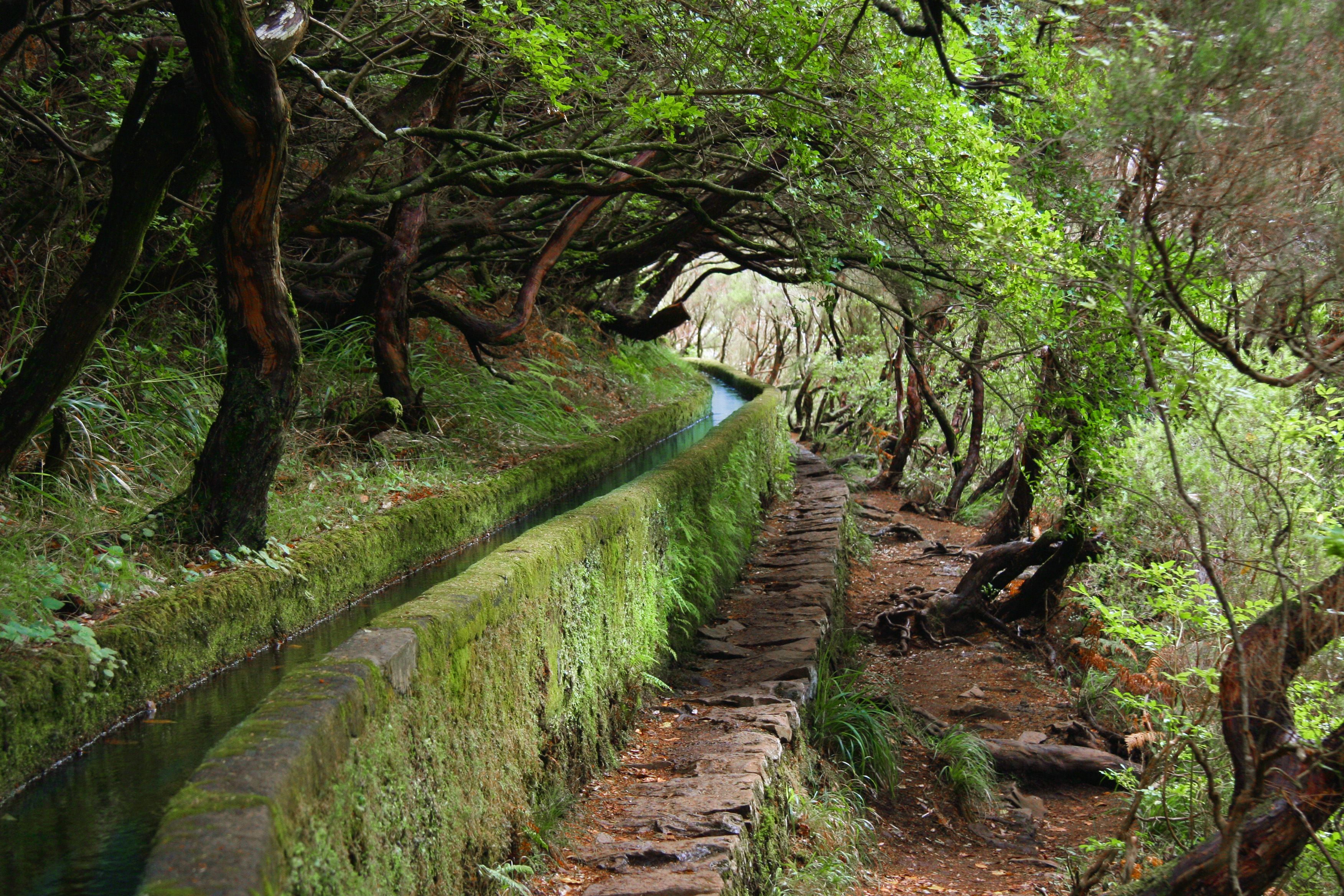 PR6 Levada das 25 Fontes and PR6.1 Levada do Risco - Waterfalls at Their Fullest