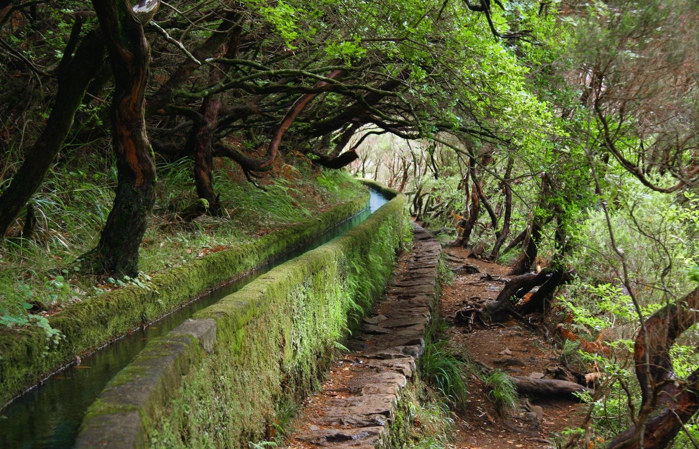PR6 Levada das 25 Fontes and PR6.1 Levada do Risco - Waterfalls at Their Fullest