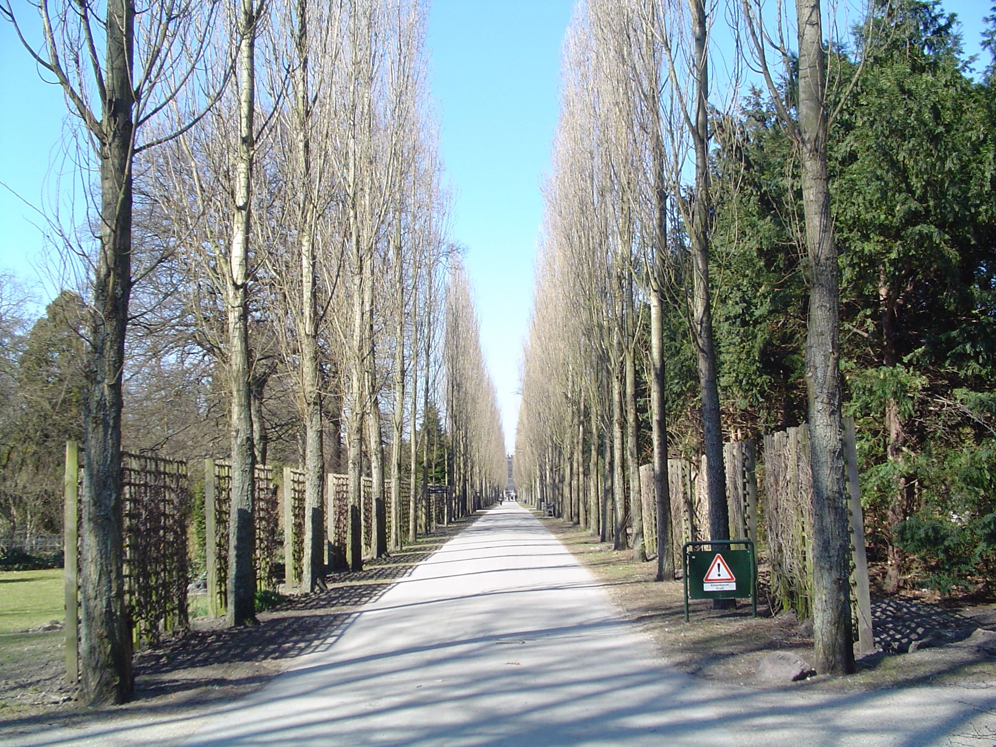 Assistens Cemetery - The Best Autumn Colour in the City