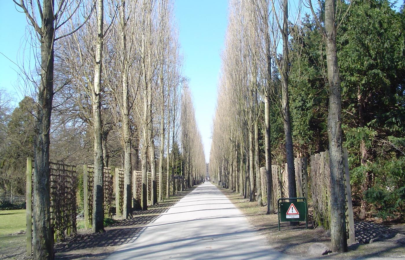 Assistens Cemetery - The Best Autumn Colour in the City