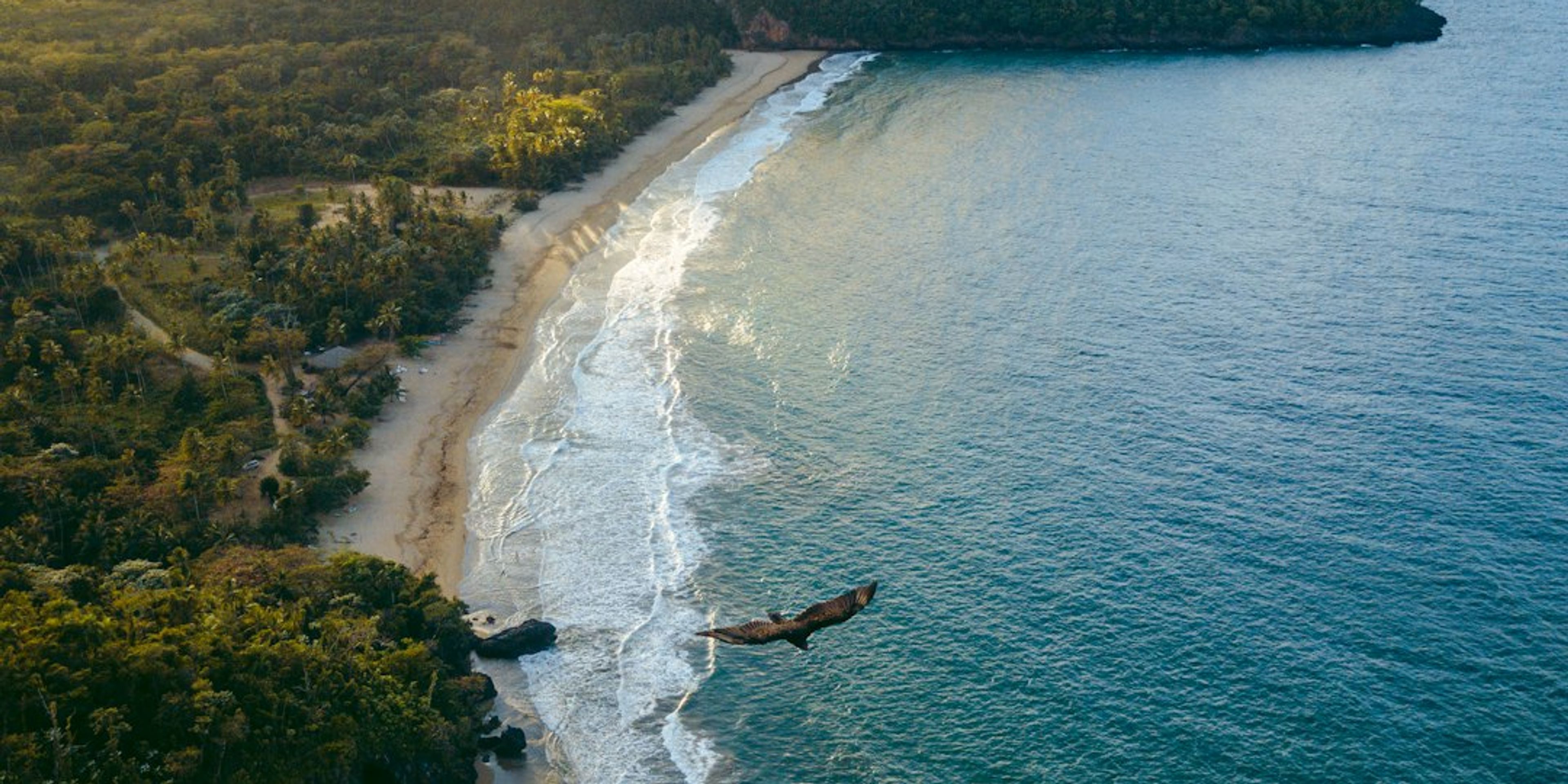 Hotels in Dominican Republic